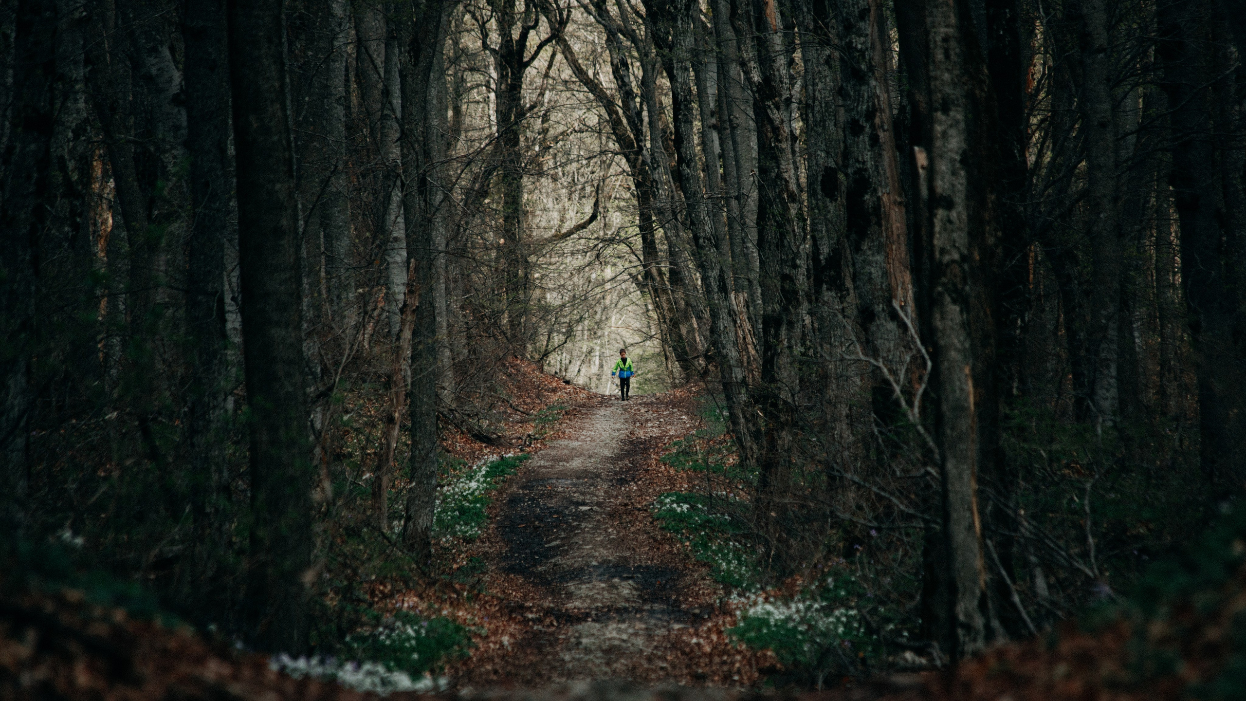 Ориентирование/рогейн. Спортивный фотограф Тремпольцева Анна