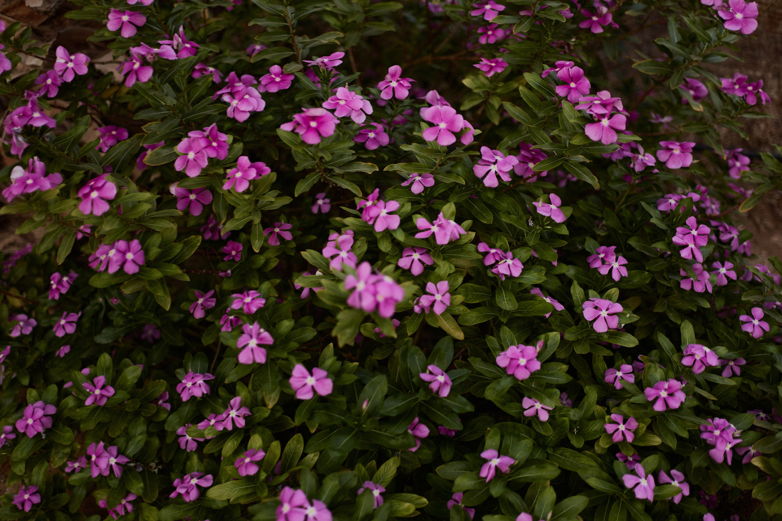 Другое 2. Jorgis Talè — photographer, kind person, teacher of arts and other mag