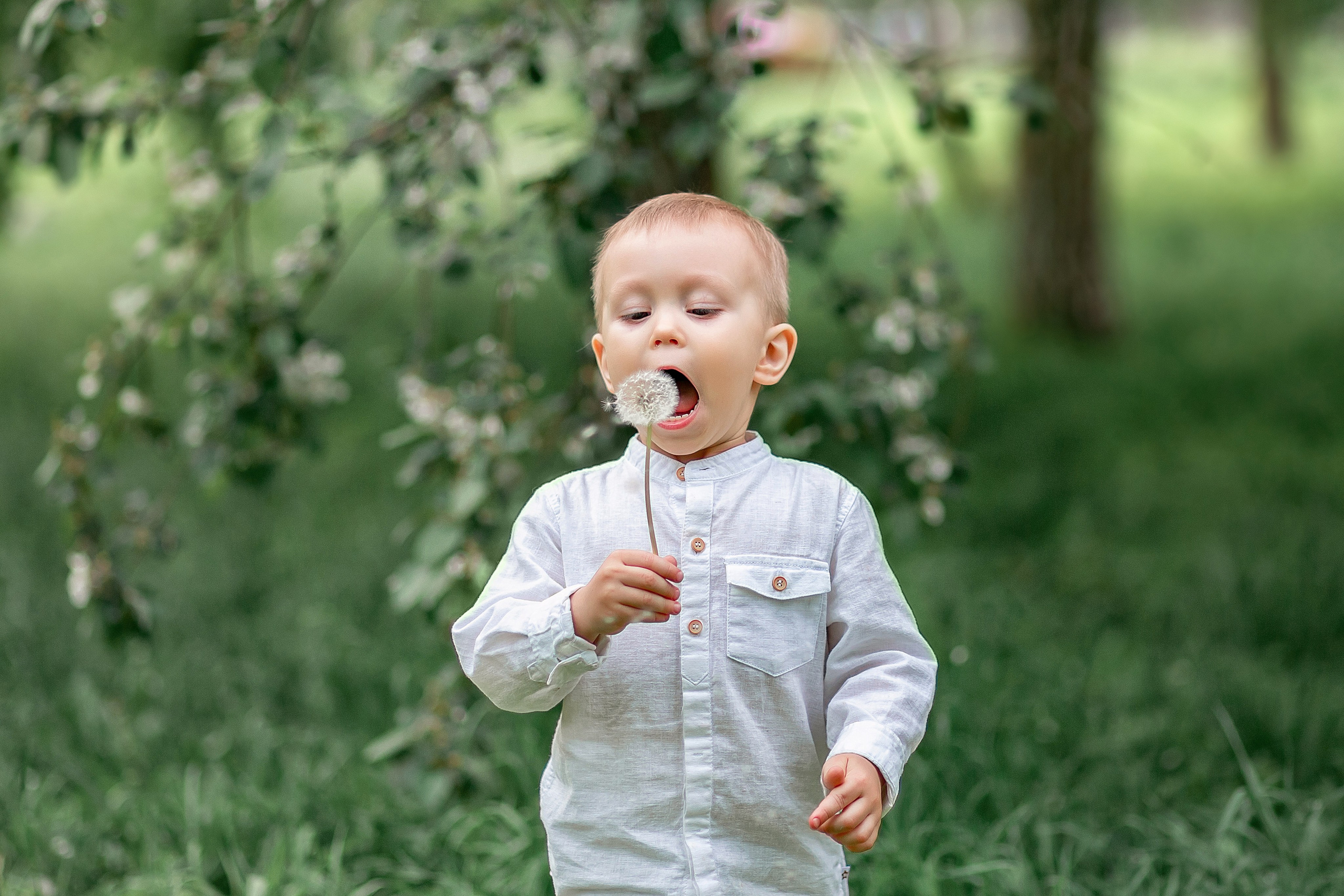 Чаепитие в саду. Детский и семейный фотограф в Красноярске Юлия Бирюкова