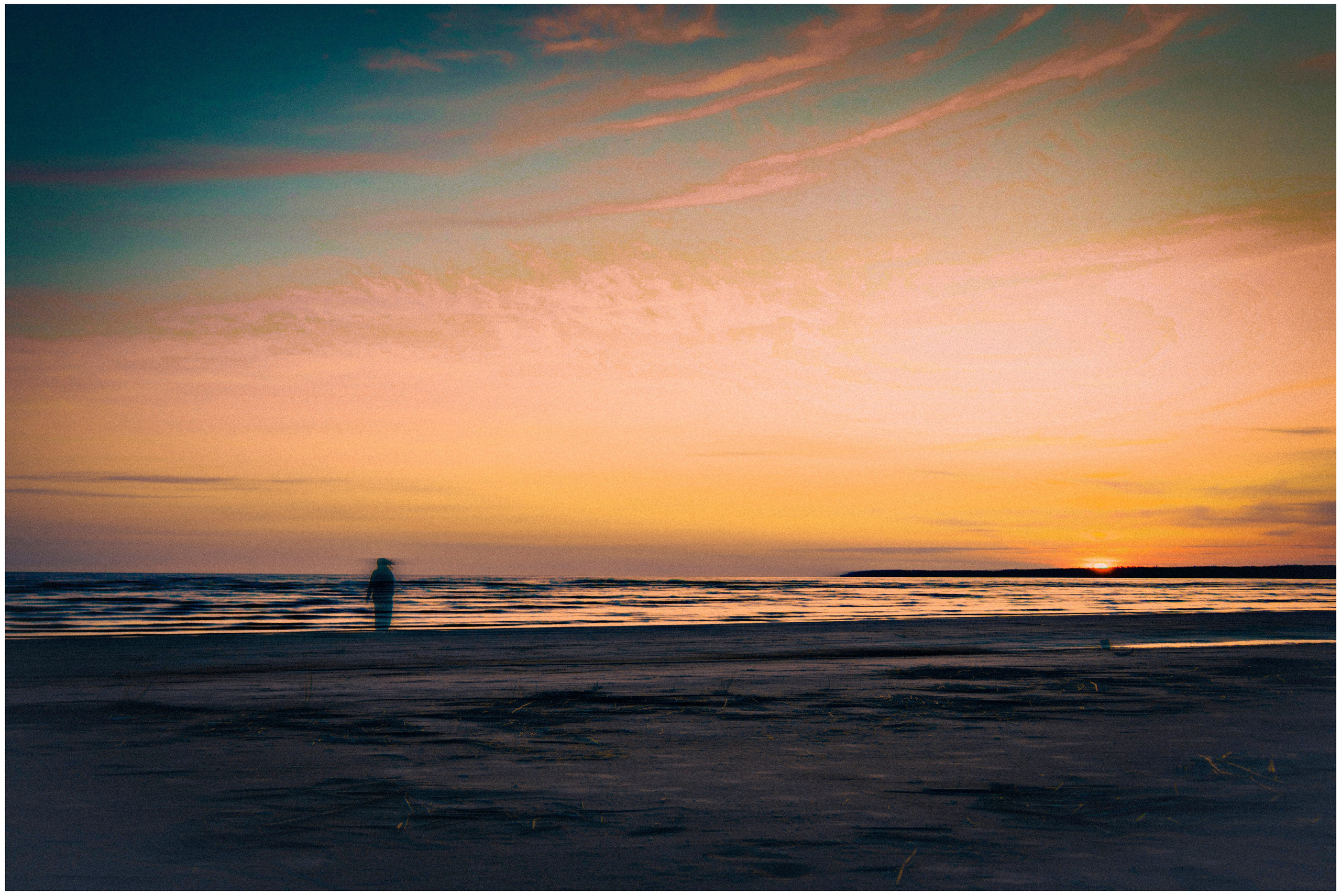 Из наблюдений. Плак или Квак