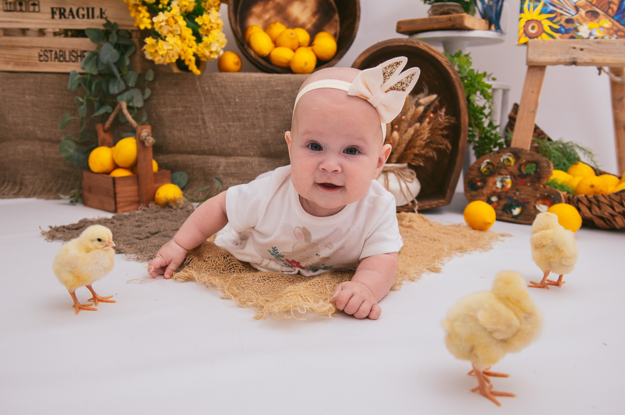 Цыплята. Детский фотограф Магадан