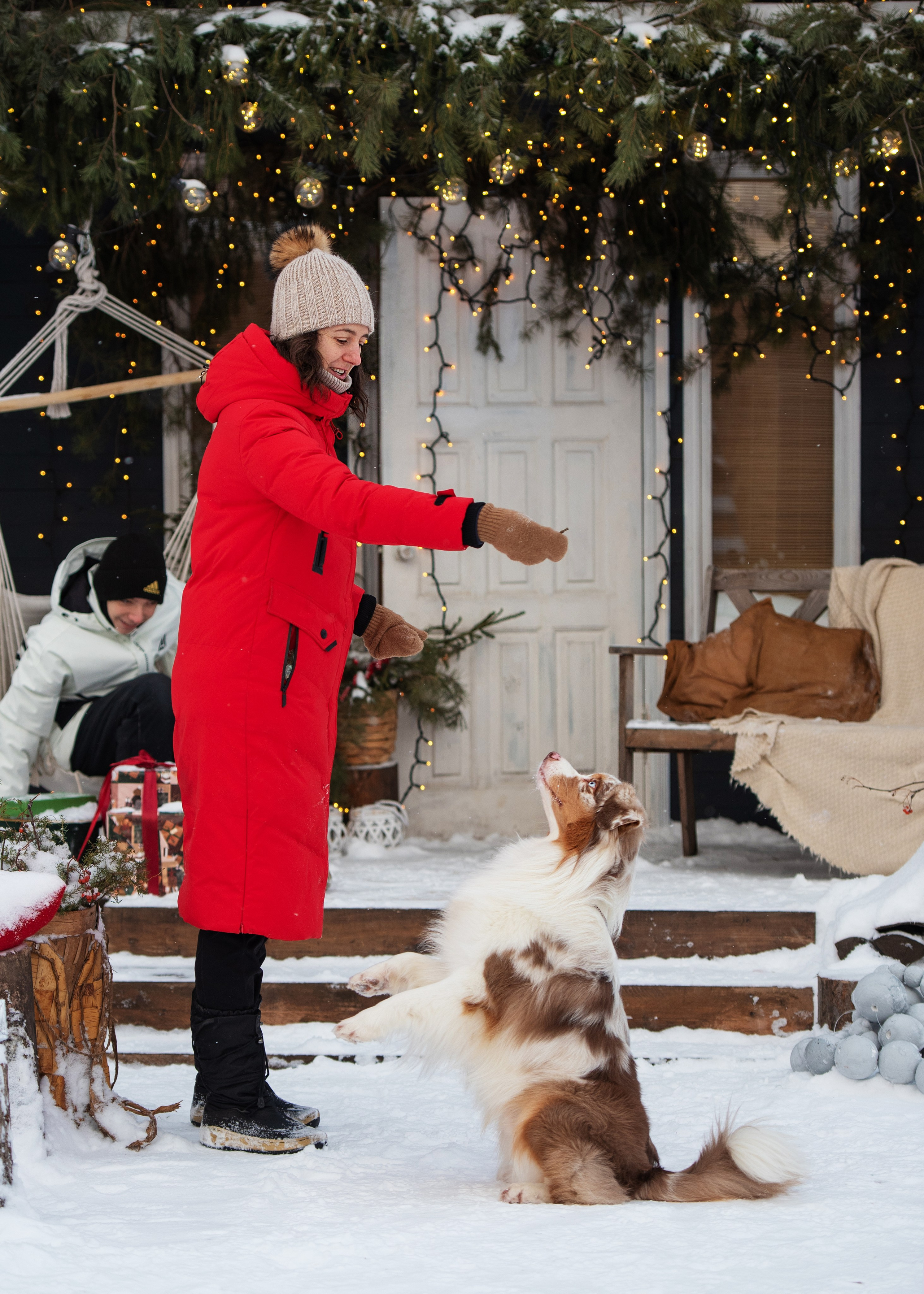 Аусси и его семья. Дог-фотограф в Тюмени Александра Королева