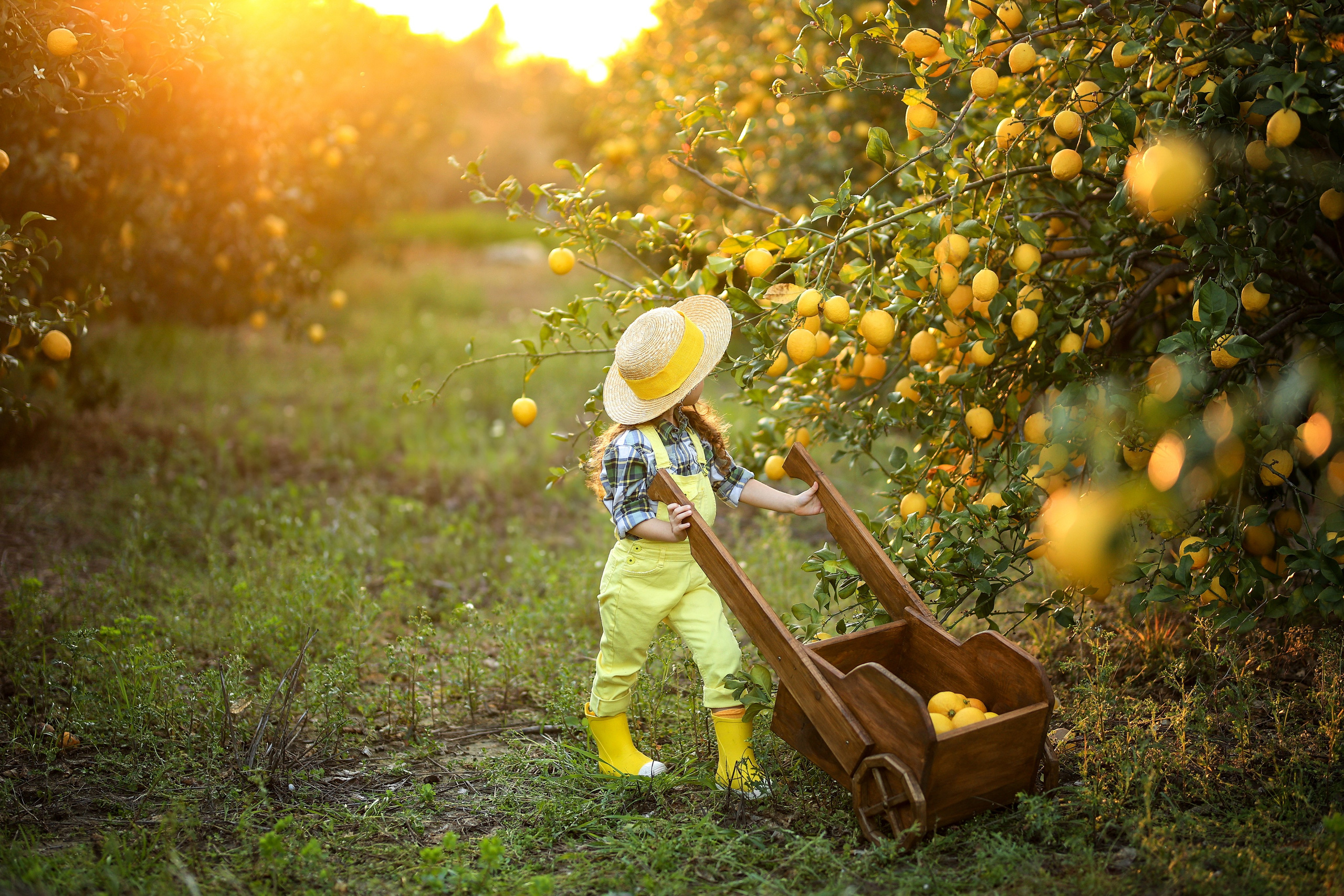 Potoshooting in lemon garden