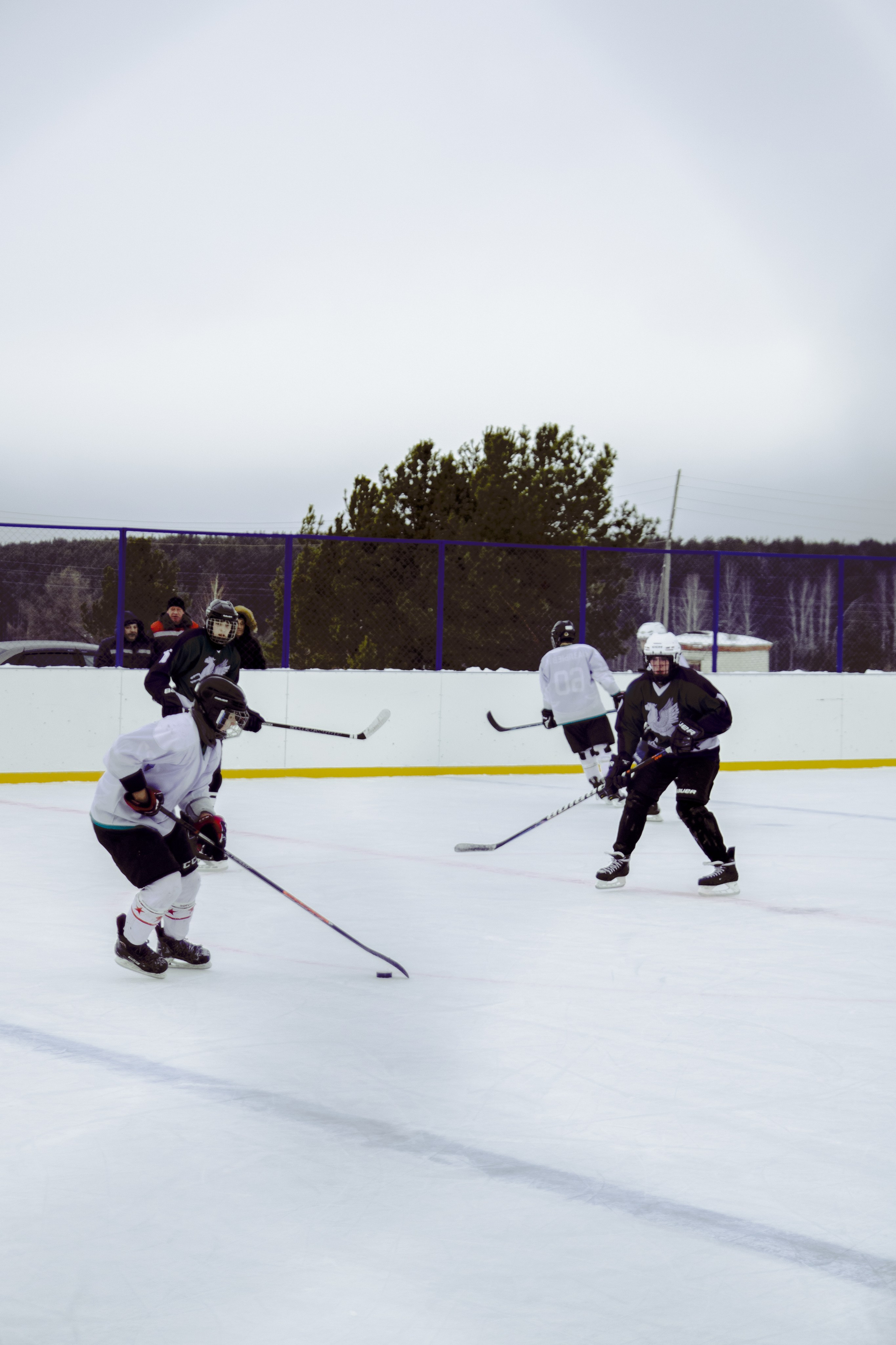 Хоккей 29.12.2024