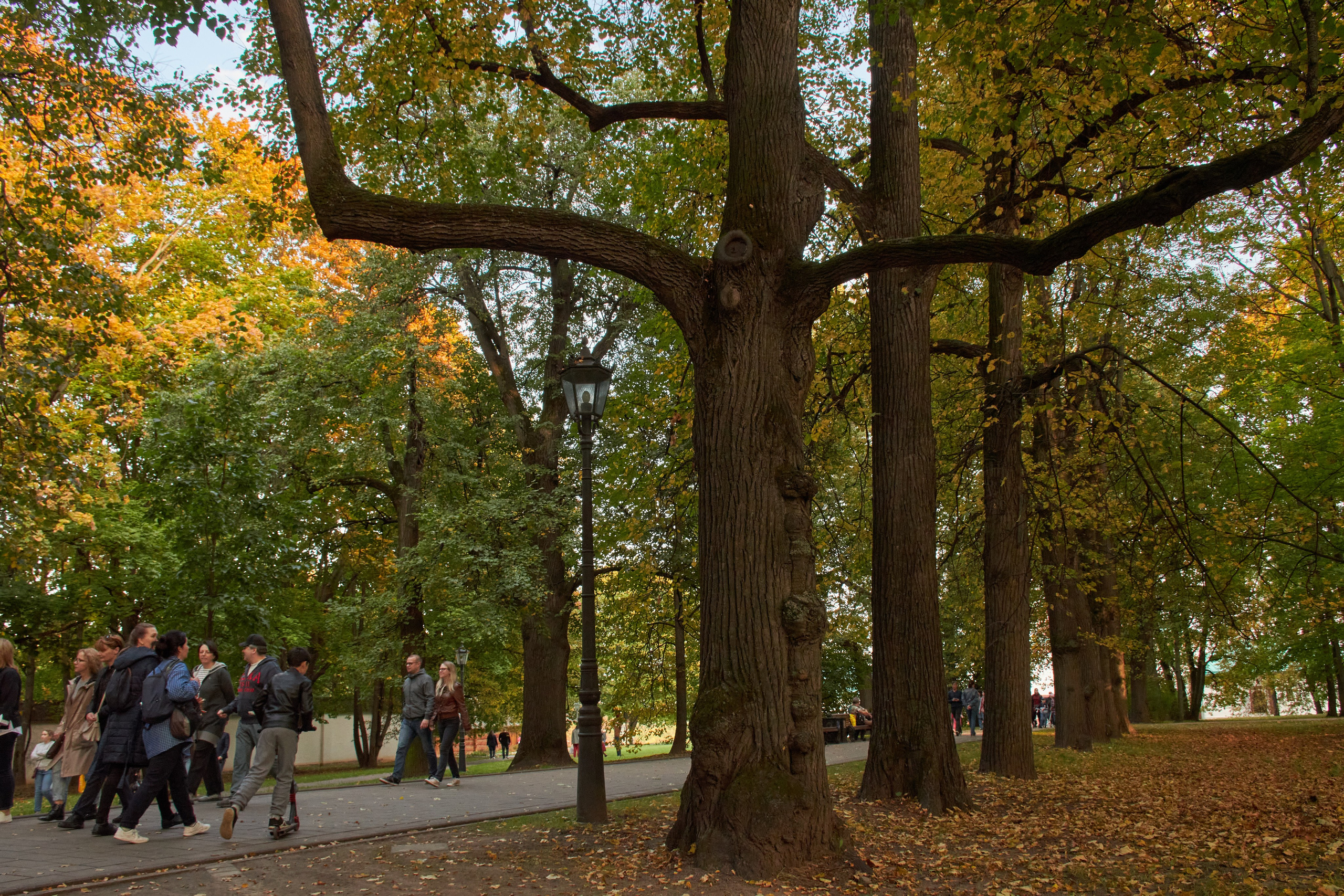 20200927 Коломенское. Дмитрий Ремизов. Фотография, как хобби