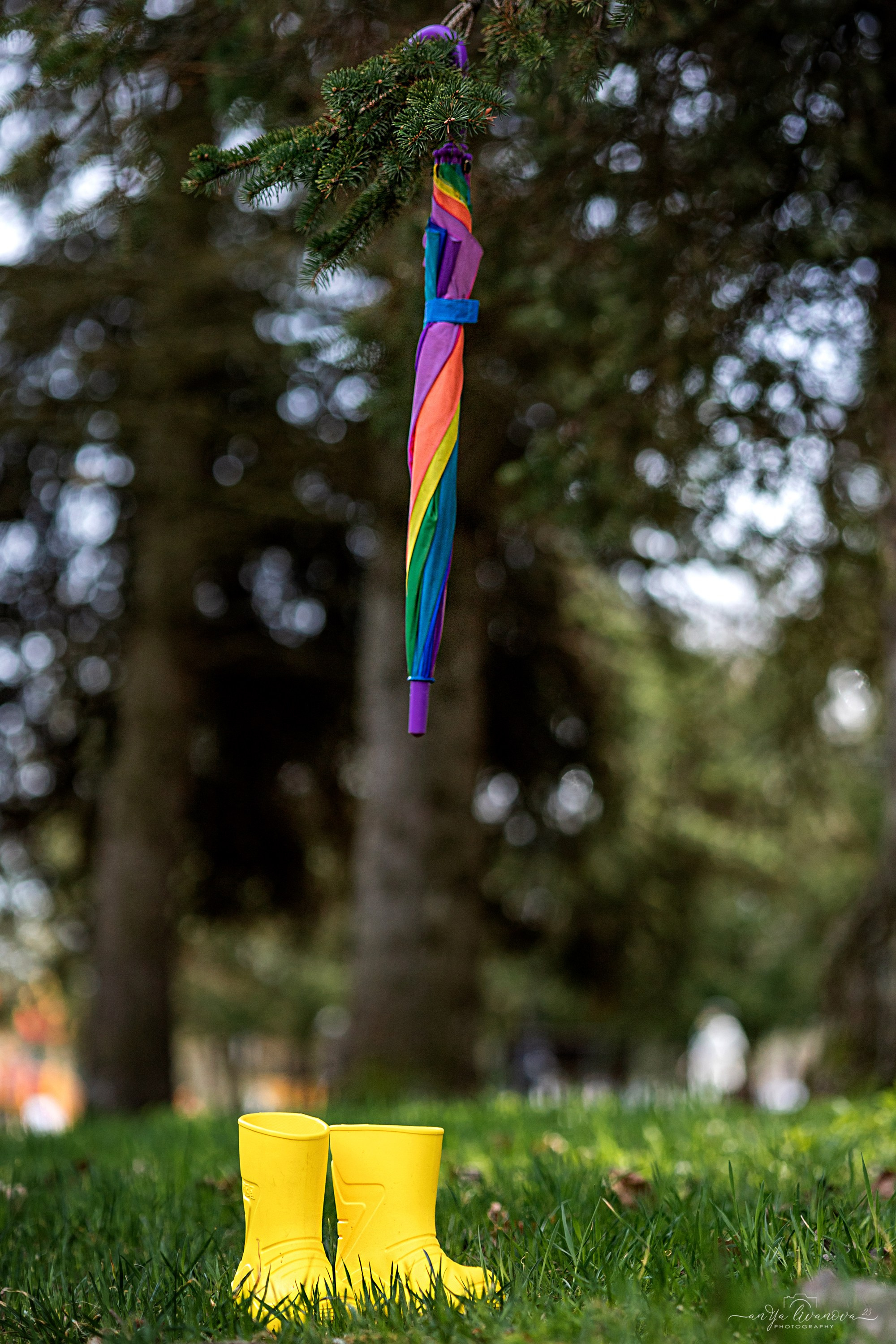 Солнышки. Фотограф анималист Аня Ливанова | Рыбинск