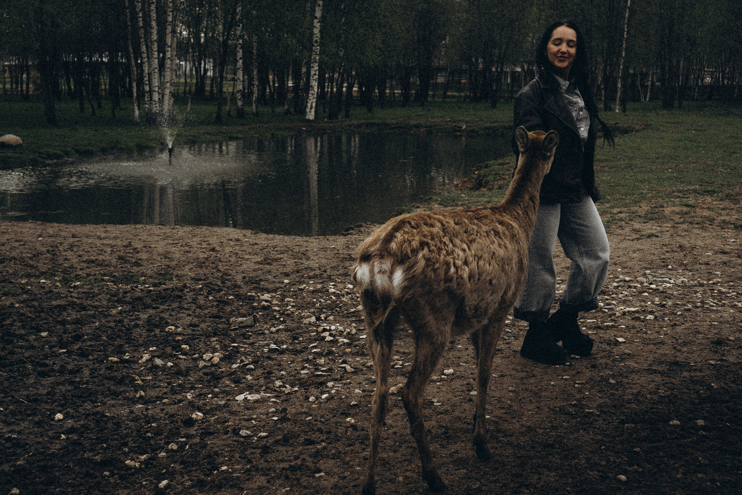 ОЛЕНЬЯ ФЕРМА В ТВЕРИ. Профессиональный фотограф, Санкт-Петербург — Виктория Богомолова
