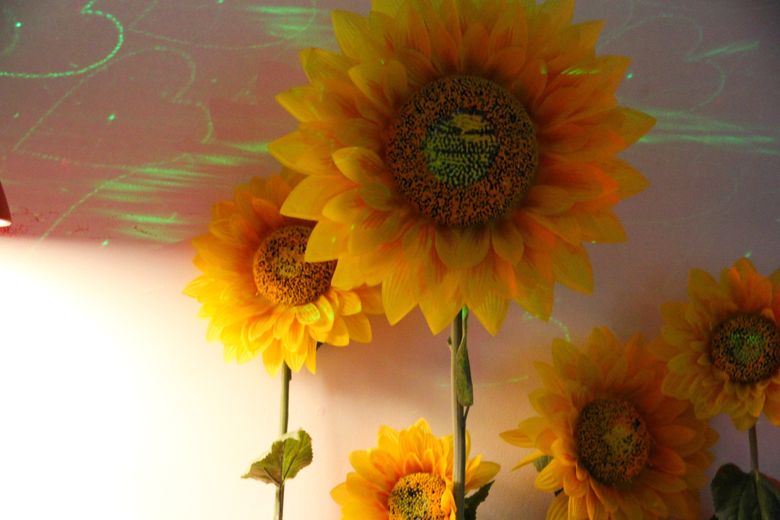 Катя ДР 13 лет 01.12.2012. Семейный, Свадебный фотограф СПБ Питер— Романова Екатерина