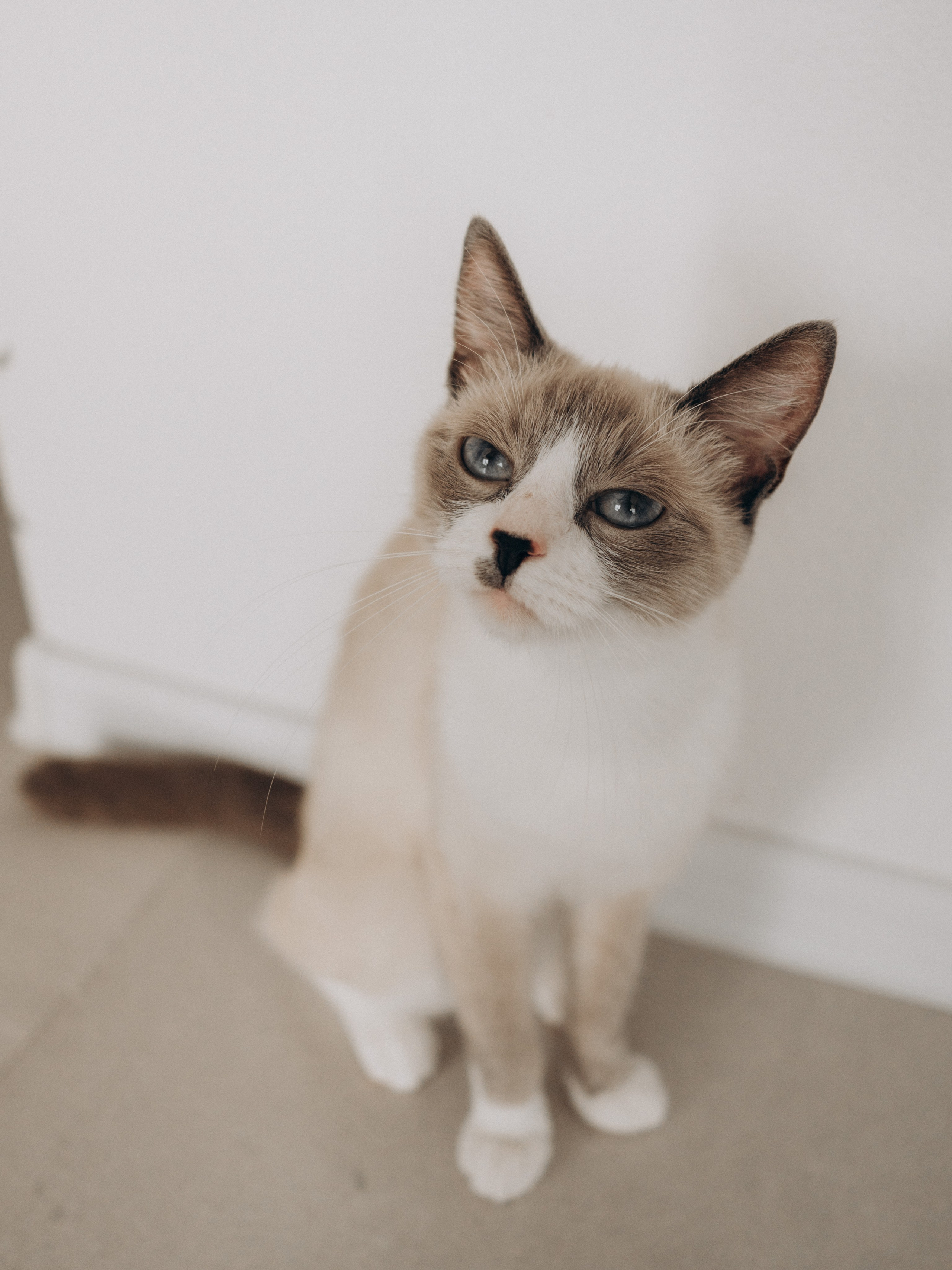 Леша + Алена. Портретный фотограф в Ярославле Юлия Румянцева