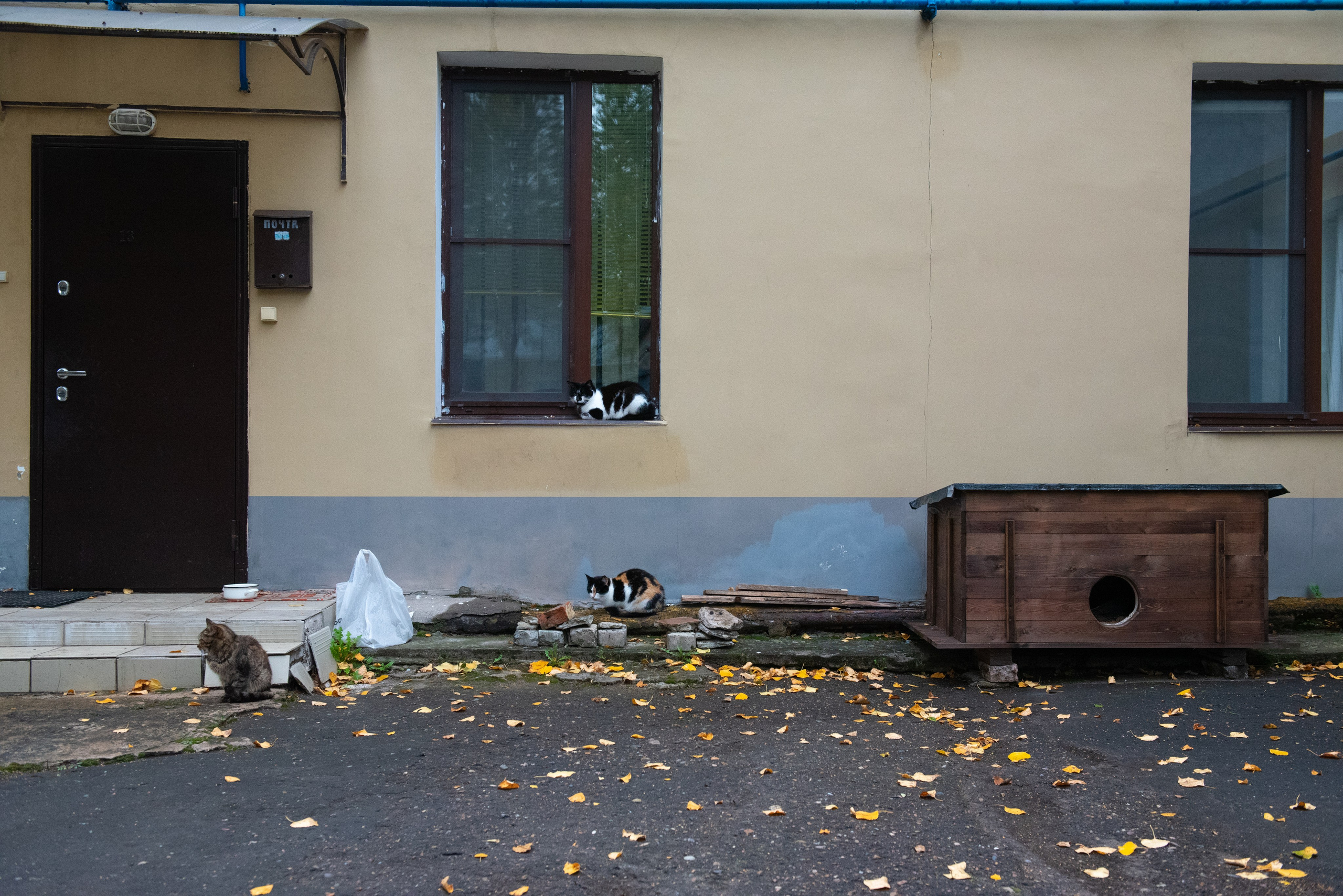 Великий Новгород. Портретный и архитектурный фотограф в Москве и Санкт-Петербурге