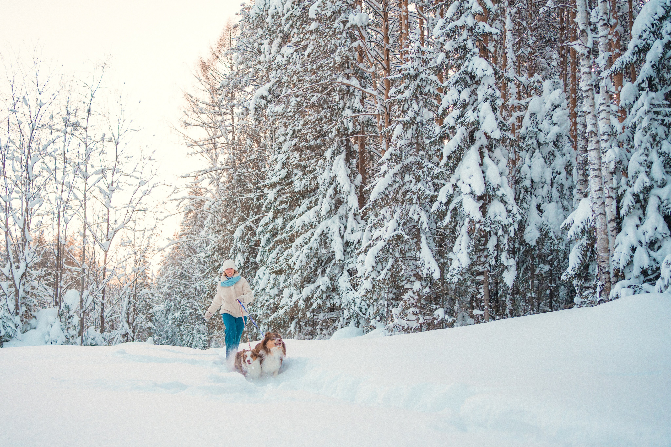 Айла и Харли. Фотограф-анималист Анастасия Большакова