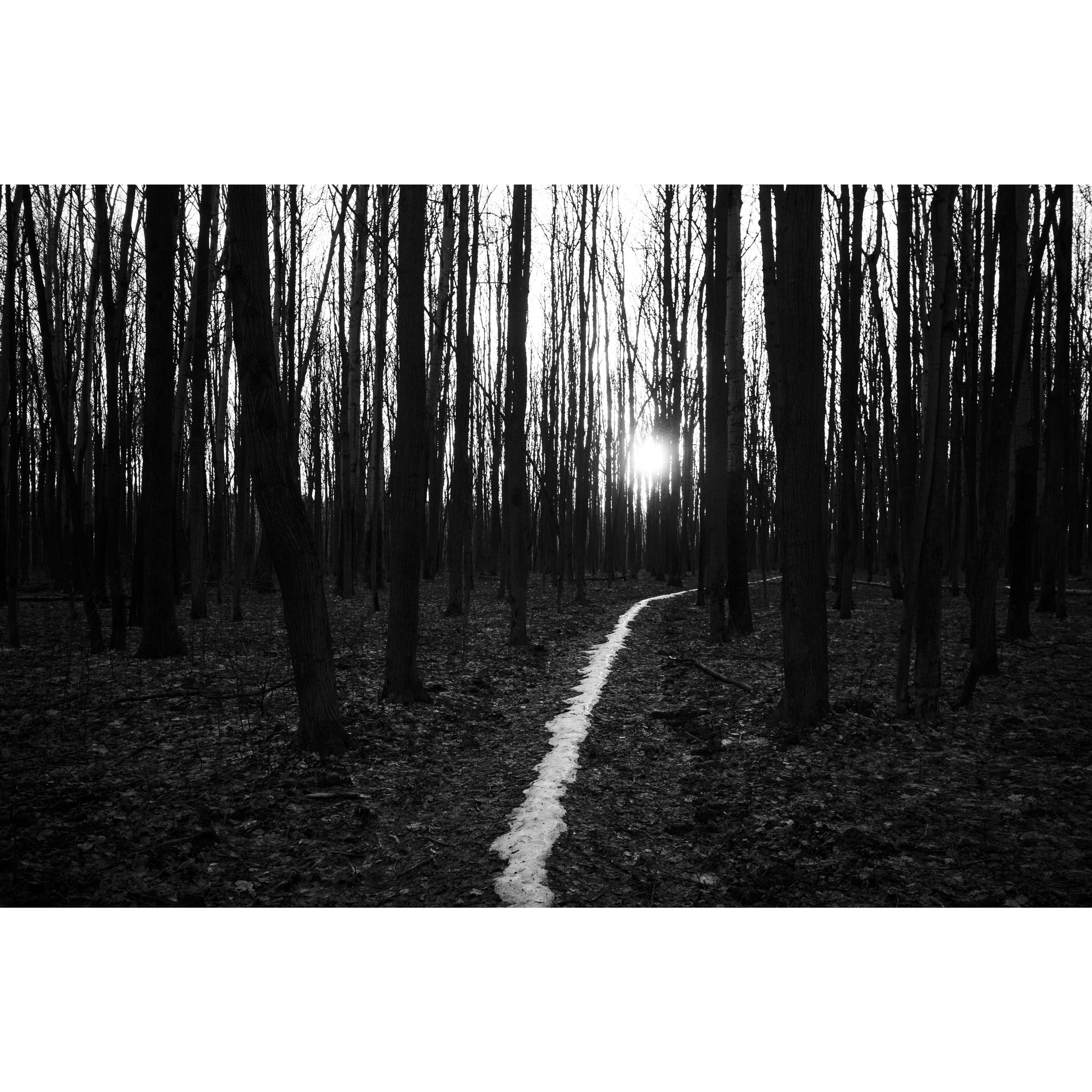 Нерастаявшая снежная дорожка. Щелковский хутор. Нижний Новгород