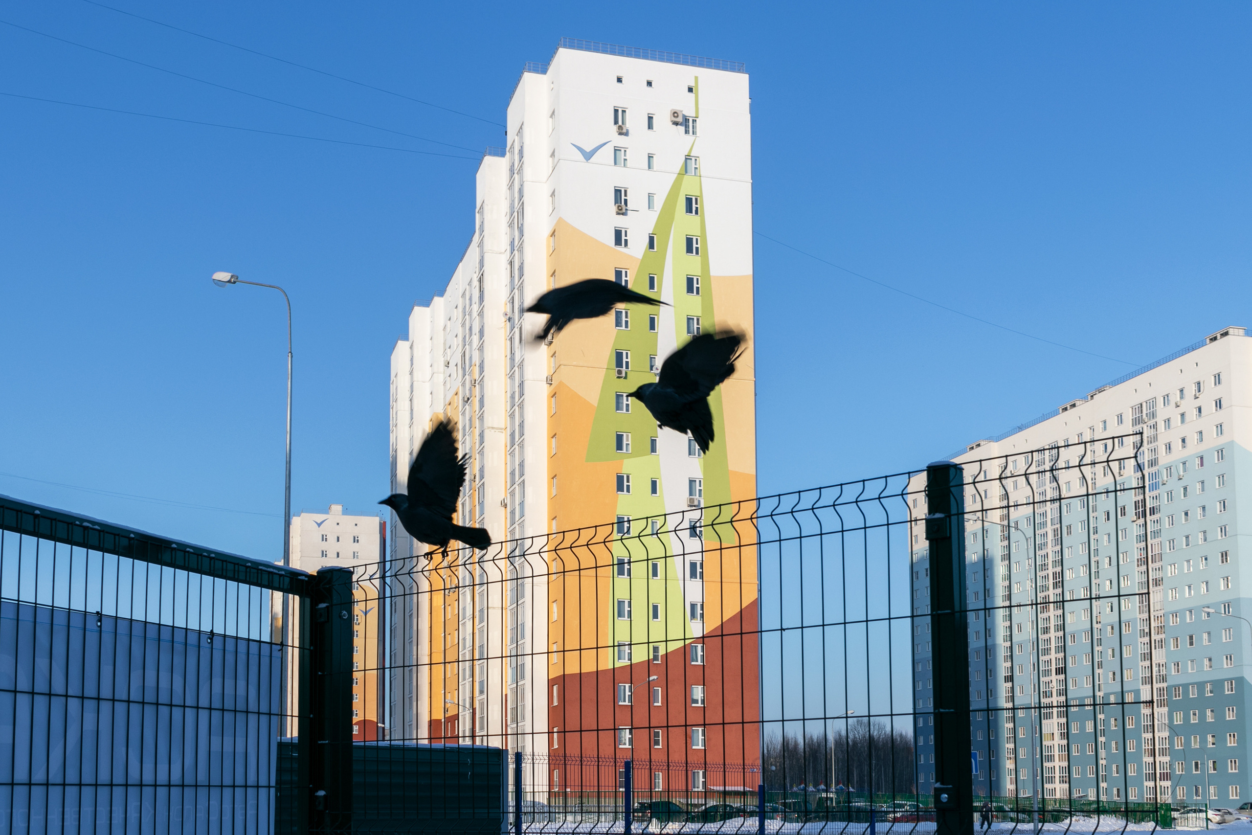 г. Нижний Новгород, Автозавод, микрорайон "Юг", птицы взлетают с забора.