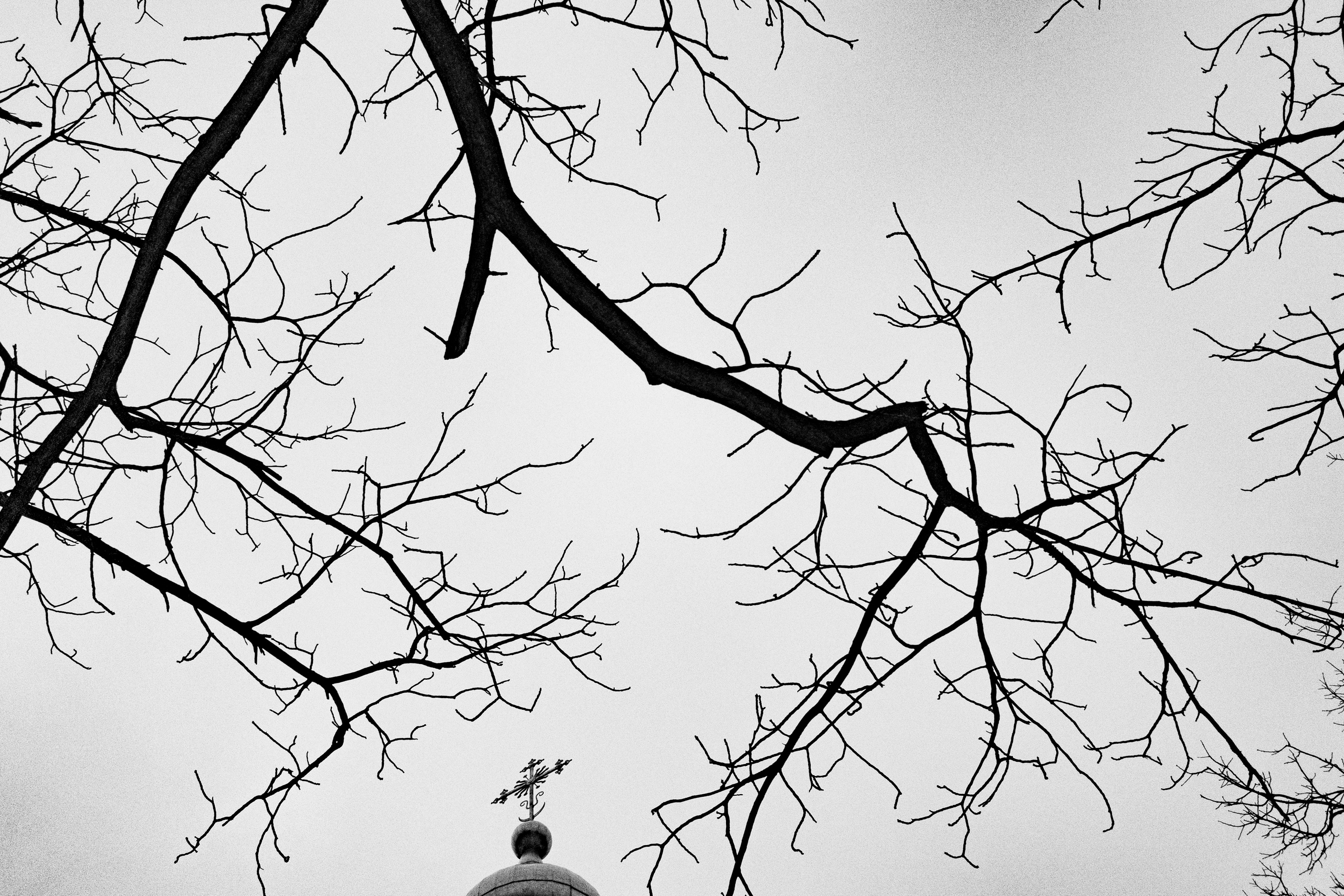 Дощечки. Полиптихи разных лет. Артём Линейцев, фотограф