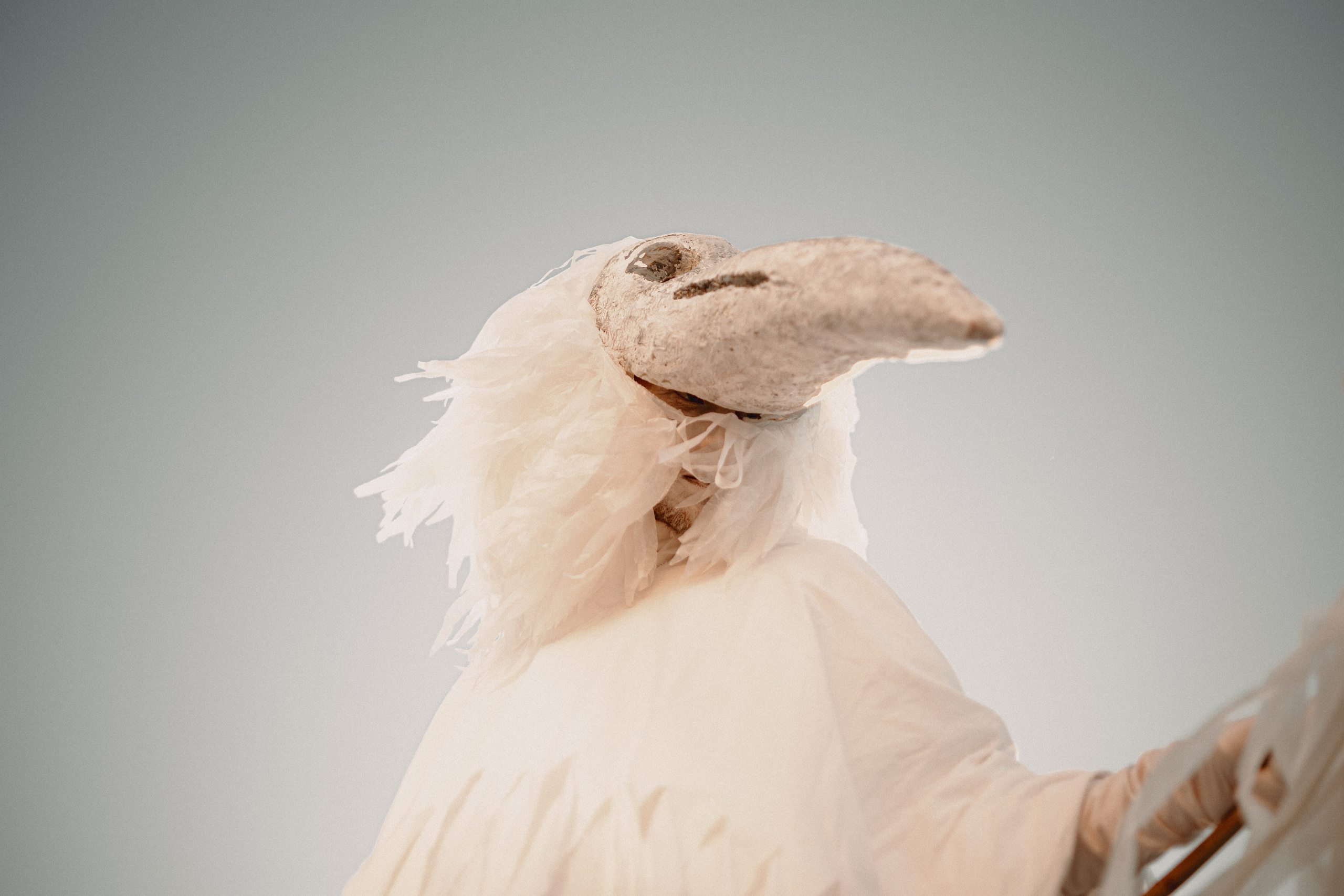 Спектакль «Куриное кабаре» от Свободного молодежного театра | Тобольск. Арт-фотограф Крис Л. в Тобольске: портрет, семейные, свадьбы