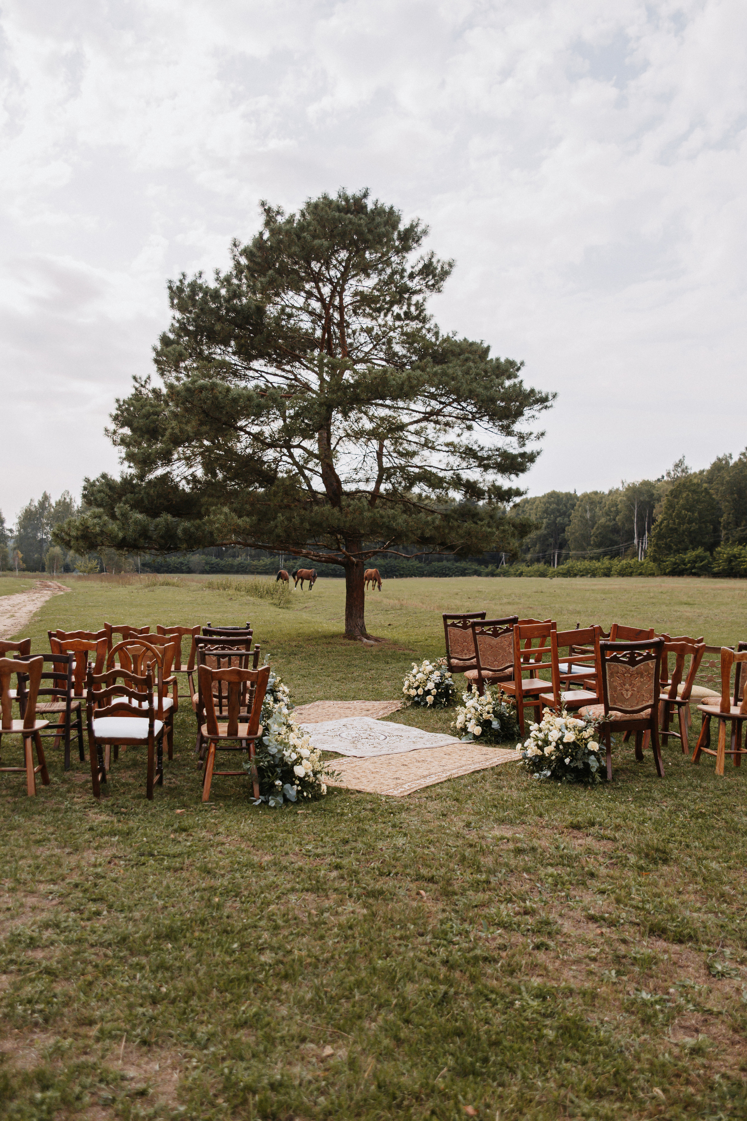 Портфолио. Свадебный фотограф Наталья Балутутина. Россия-Европа-Мир