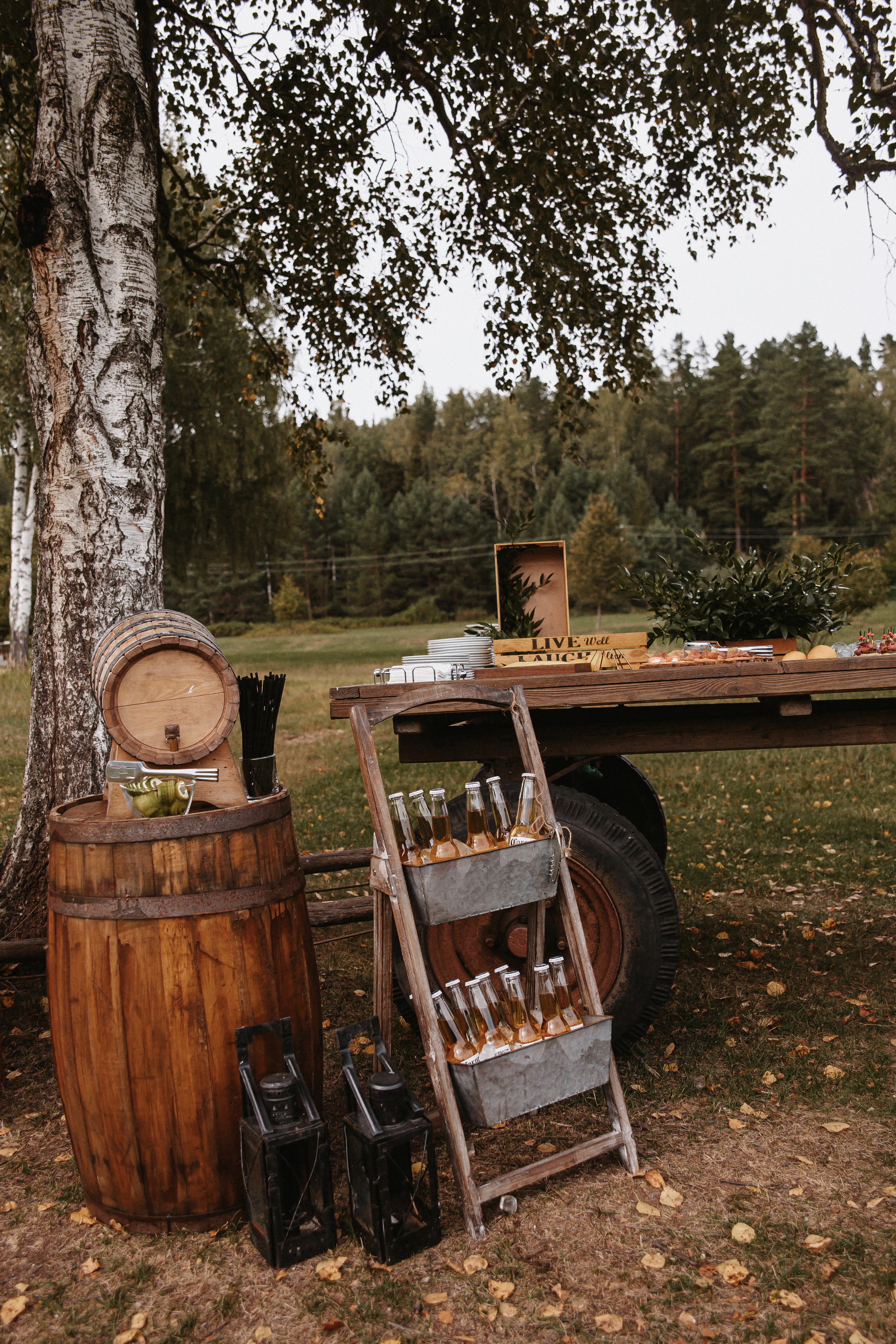 Люда и Дима в CONTRY CLUB POLYNA. Свадебный фотограф Наталья Балутутина. Россия-Европа-Мир