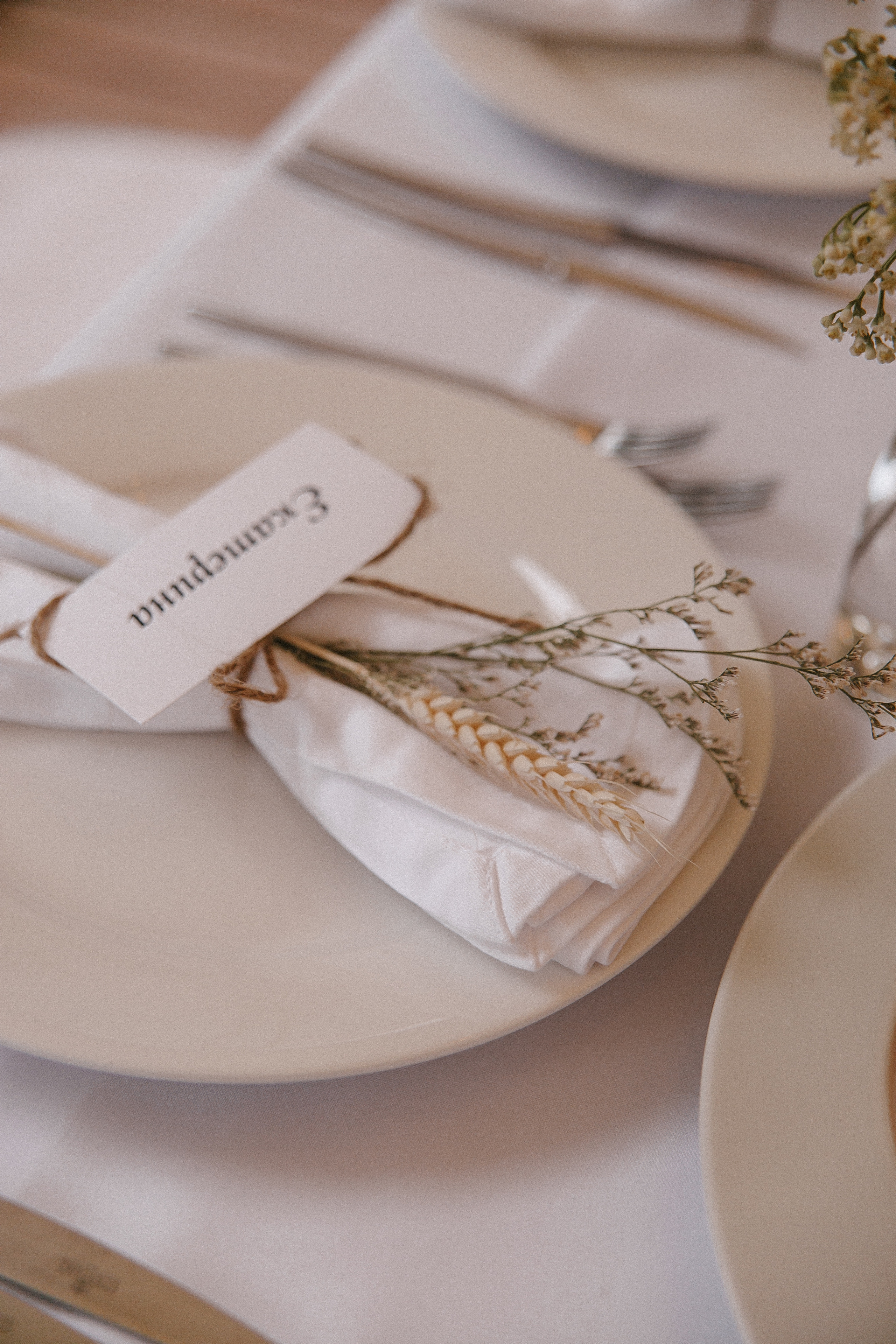 Настя и Илья. Свадебный фотограф Наталья Балутутина. Россия-Европа-Мир