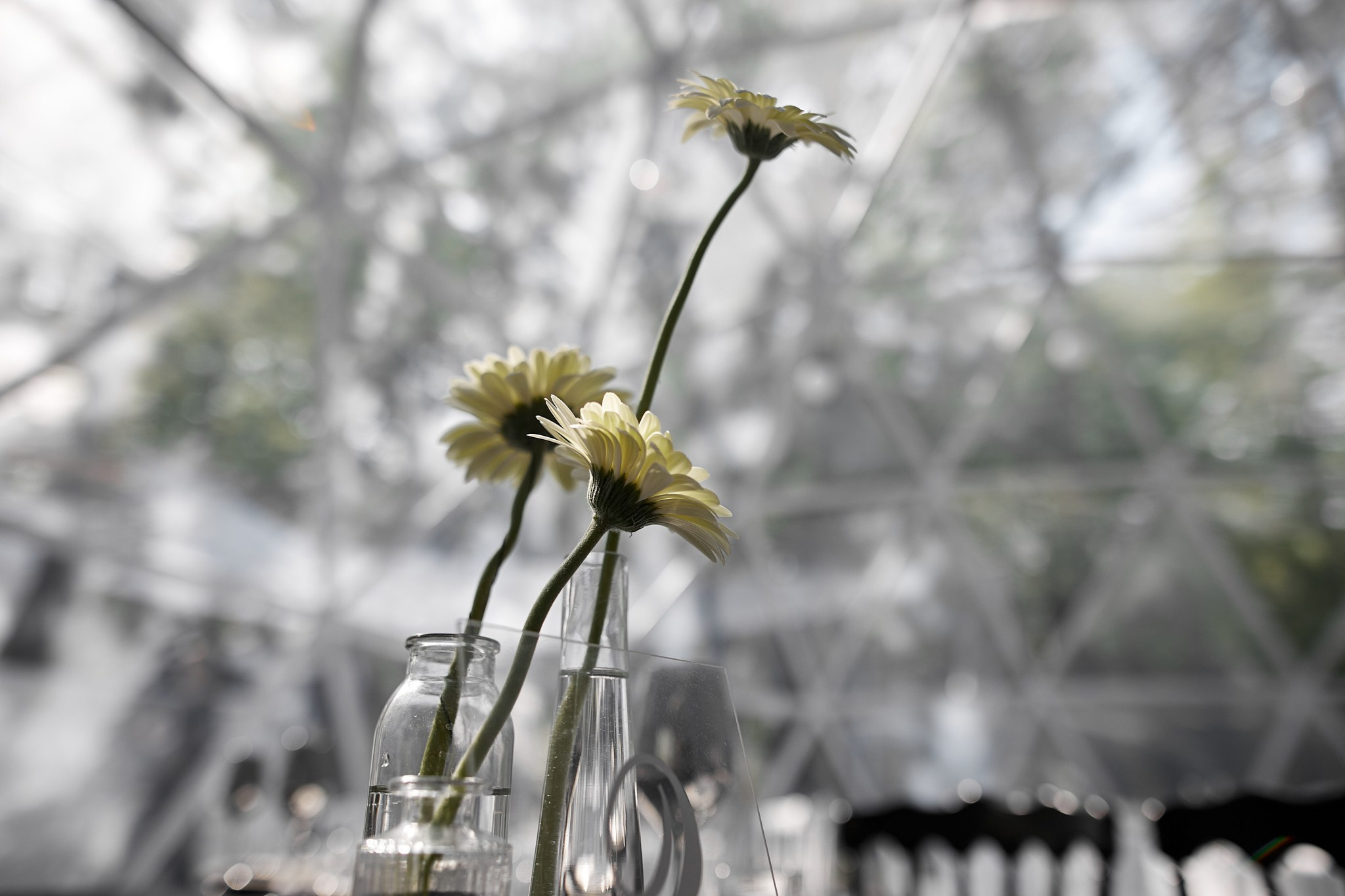 Галерея студии НикитинаДекор — вдохновляющие идеи для вашего мероприятия. Студия декора НикитинаДекор — оформление мероприятий в Ульяновске. Профессиональное создание эксклюзивных декораций