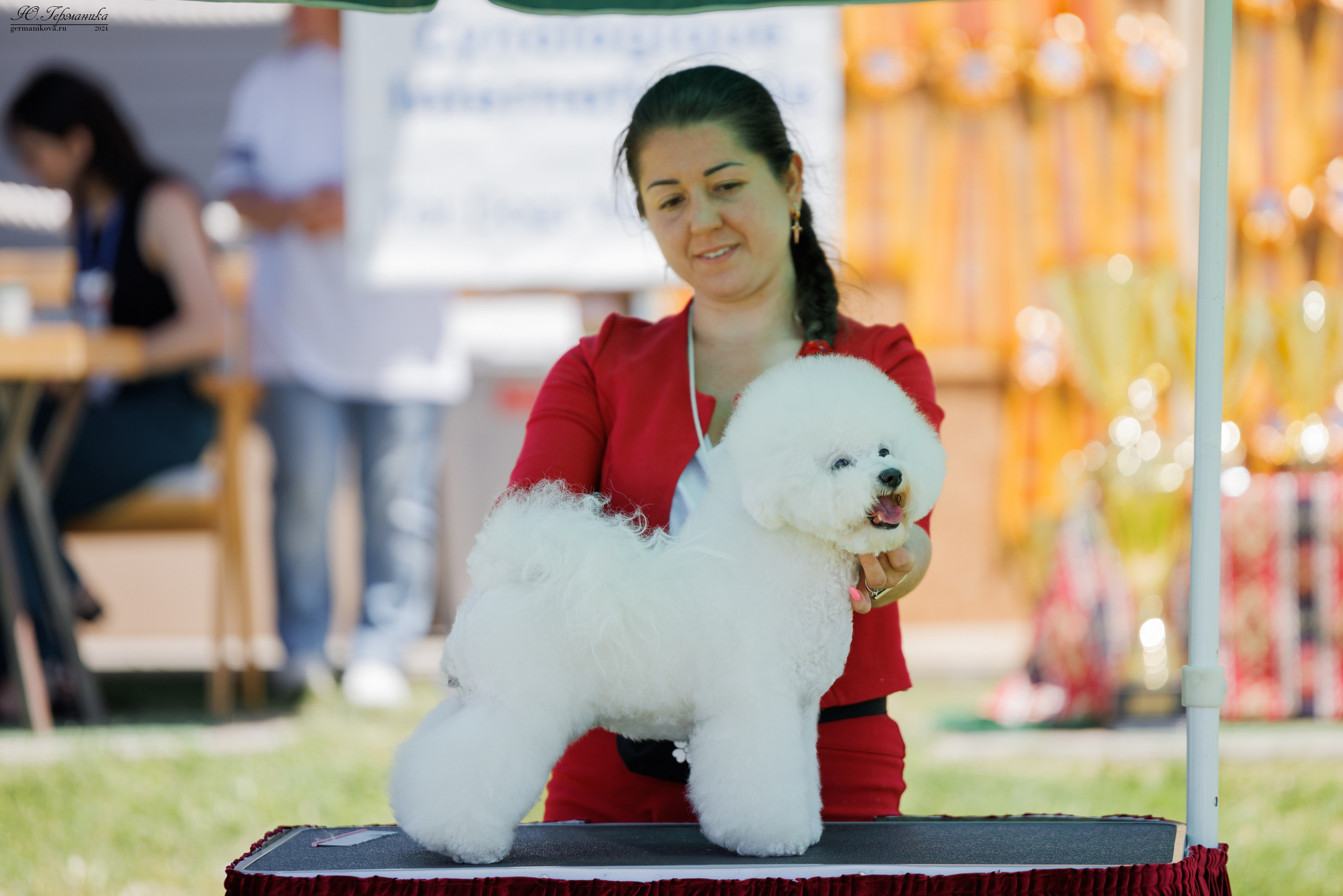 Ереван 3-5.06.2024. Фотограф-анималист Юлия Германика