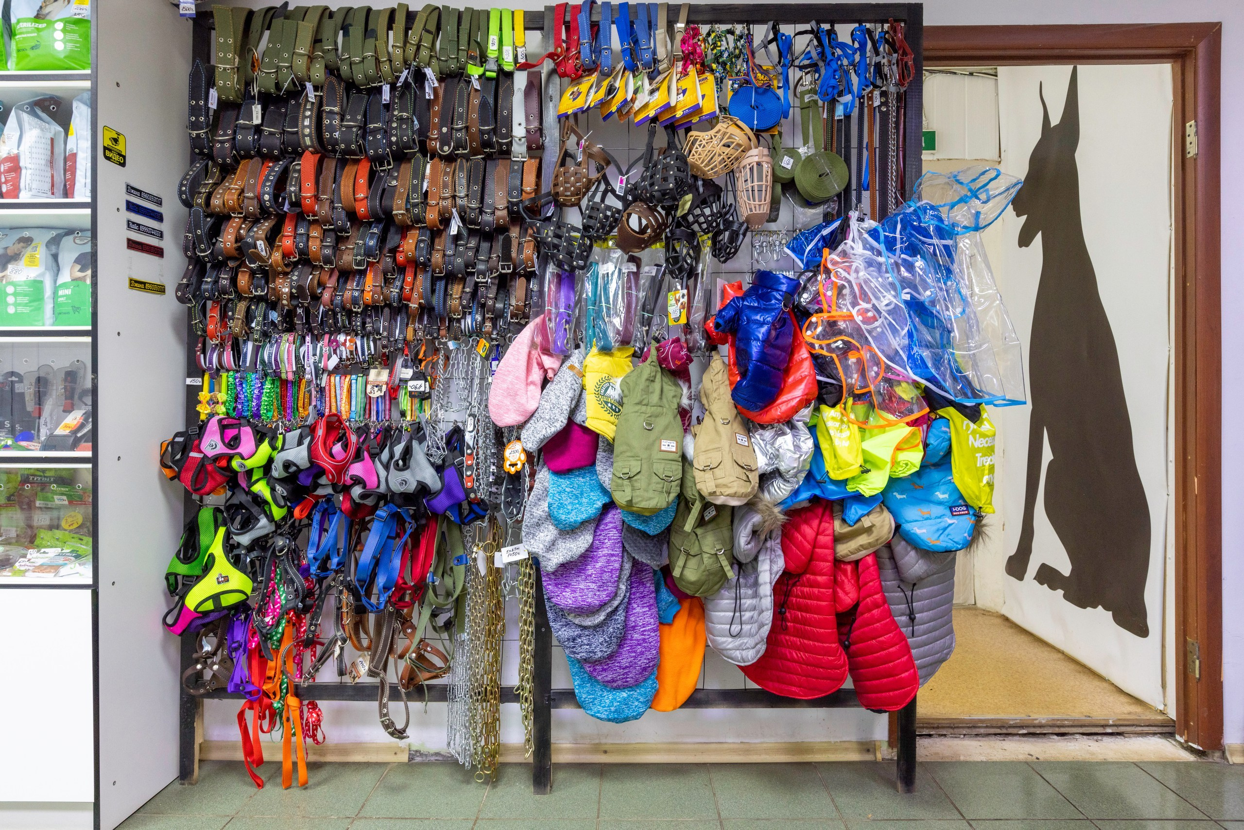 БАРОН. Ветеринарная клиника. Фотограф в Туле Крупский АнДРей. Фотостудия «КАДР71» в Туле