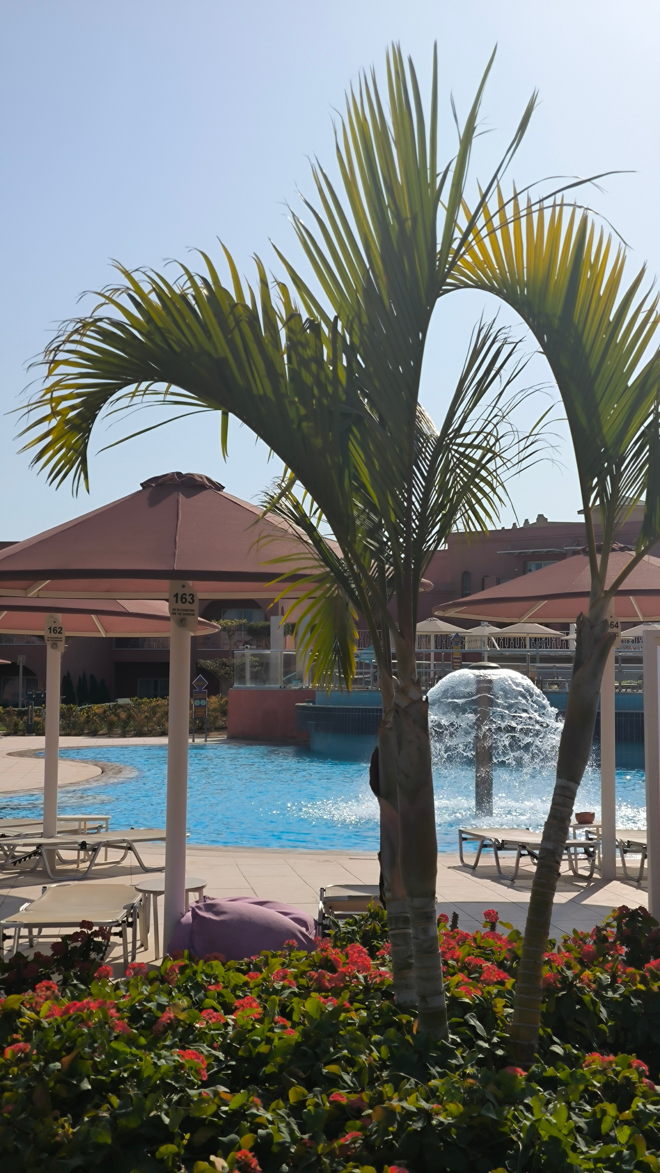 Шарм-Эль-Шейх. Светлана Иванова - профессиональный фотограф