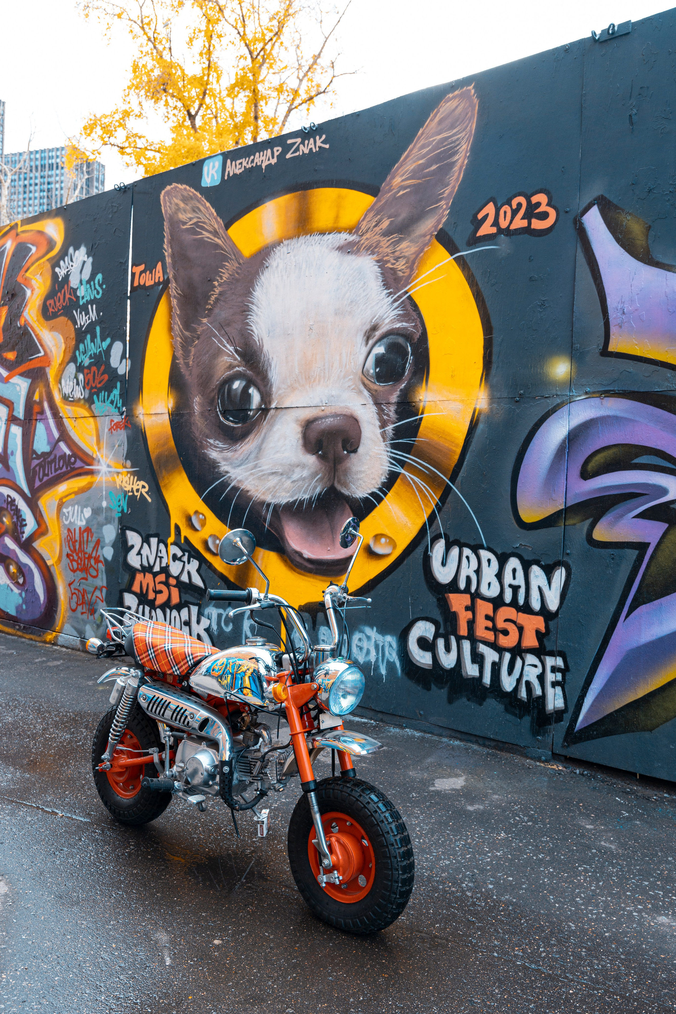 Профессиональная журнальная фотография. Ткачев Илья — Фотограф