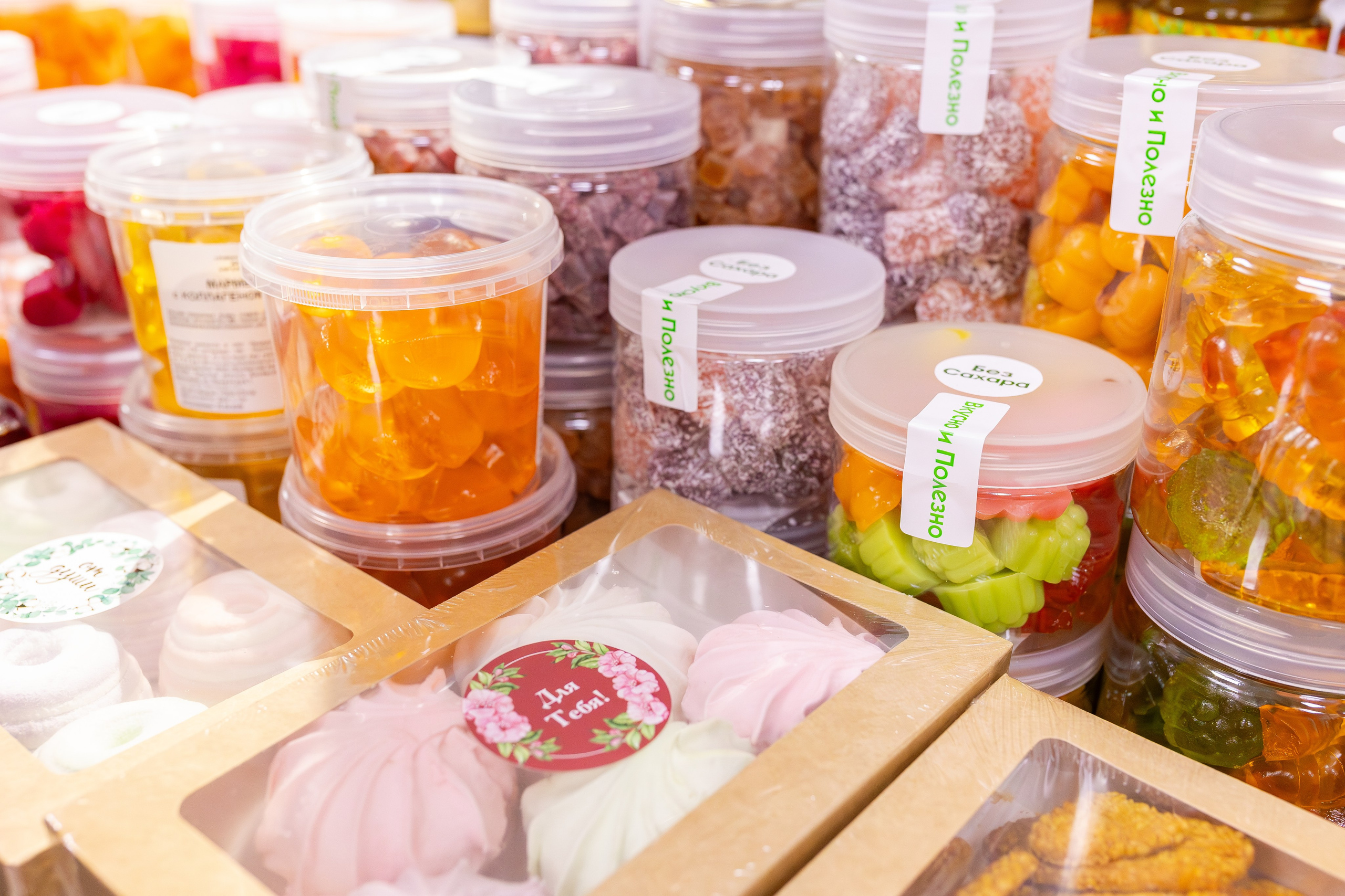 Монстериум апрель 2026. Александра Куликова фотограф, Москва