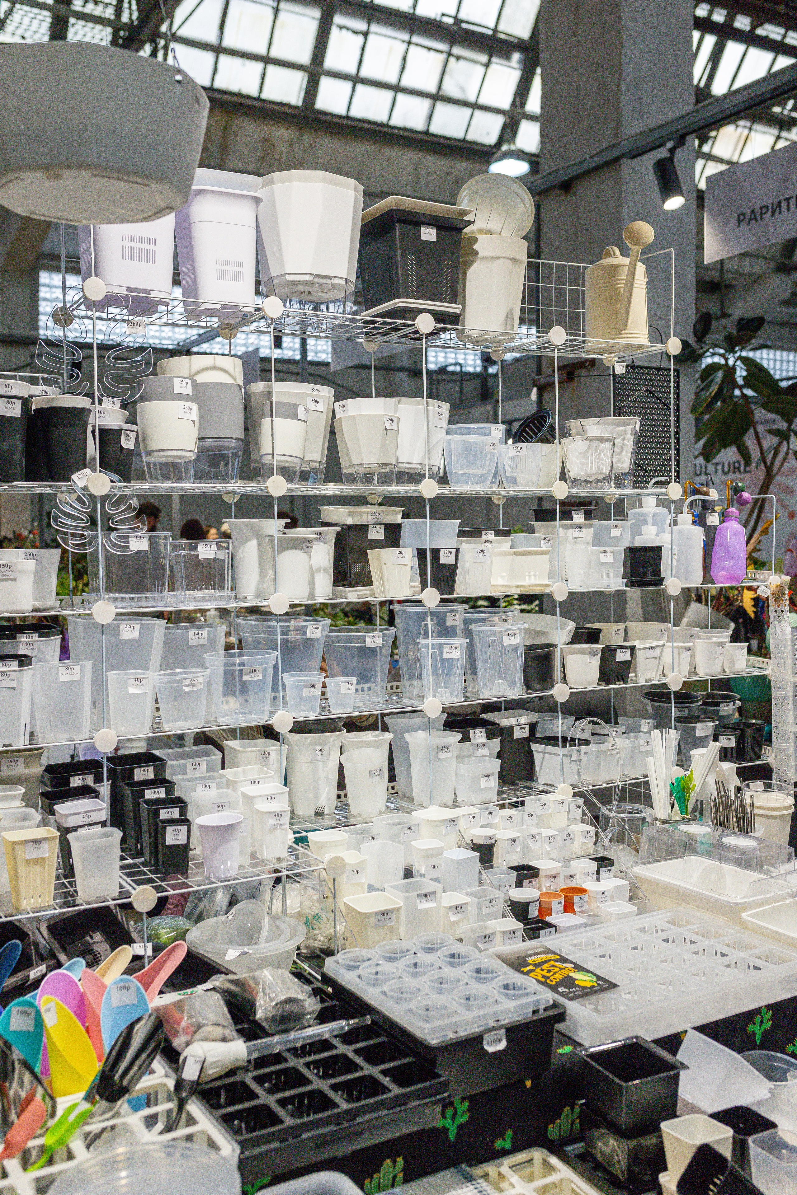 Ярмарка Green Rare 20.09.25. Александра Куликова фотограф, Москва