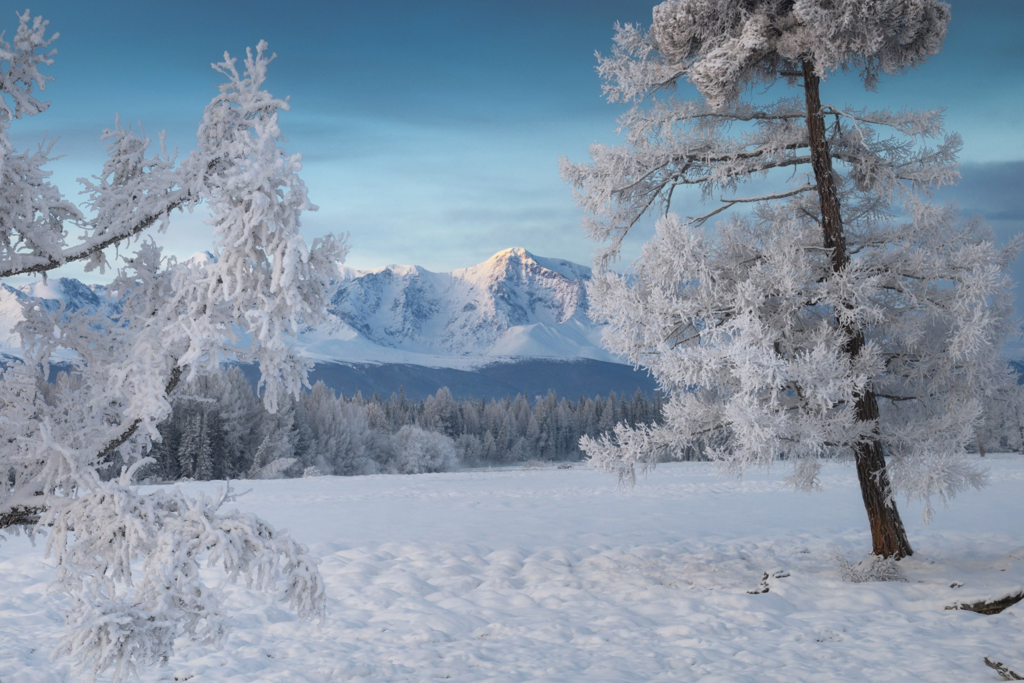 Зима в Горном Алтае. Профессиональный пейзажный фотограф Алёна Рубан