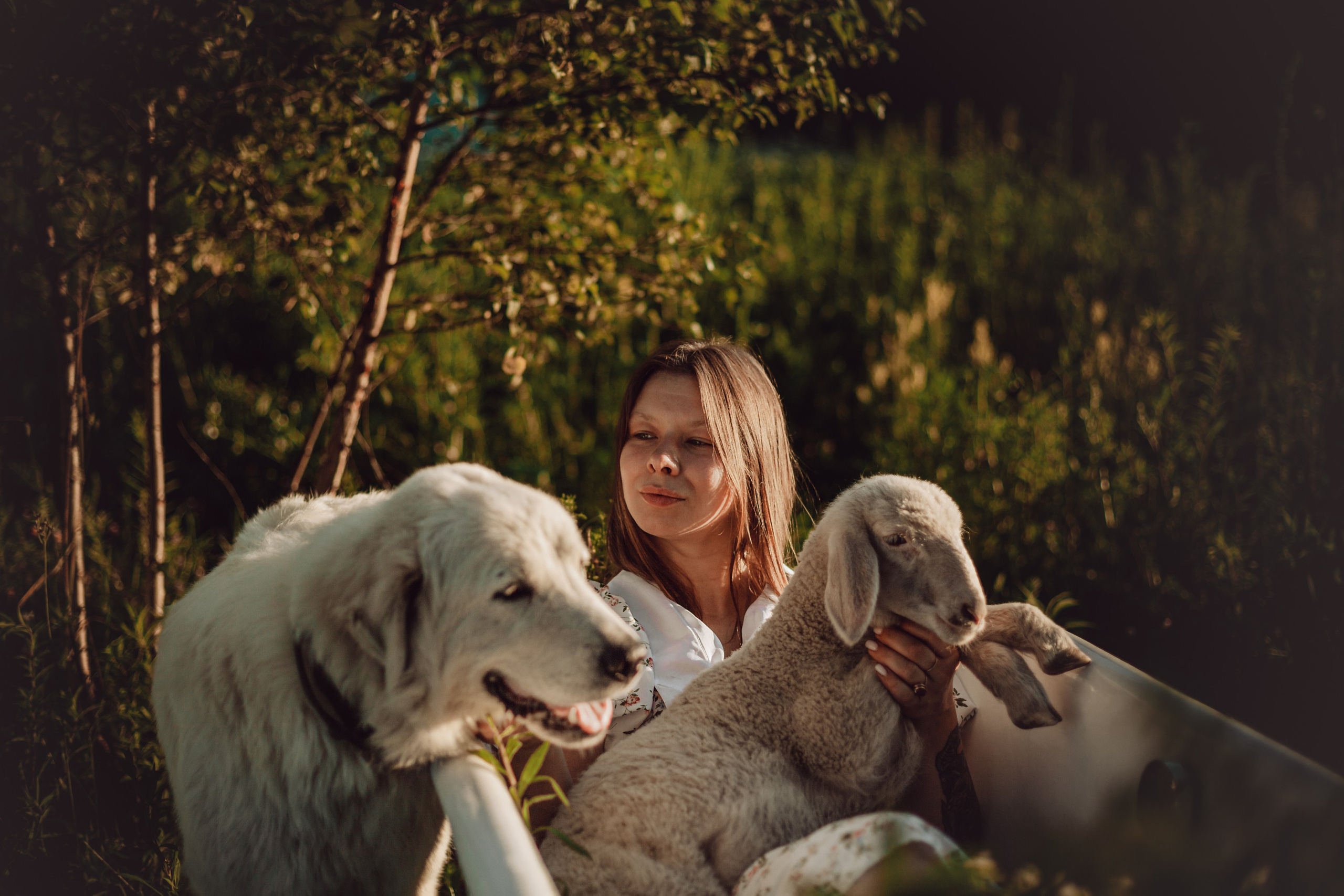 Ванна в поле. Фотограф-анималист Татьяна Степанова