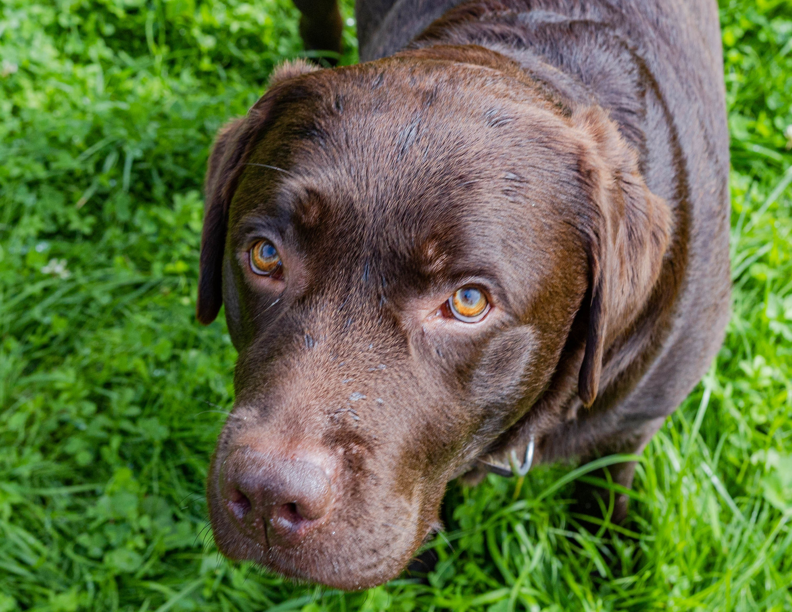 Свадебный и семейный фотограф в Москве Мария Соловова
