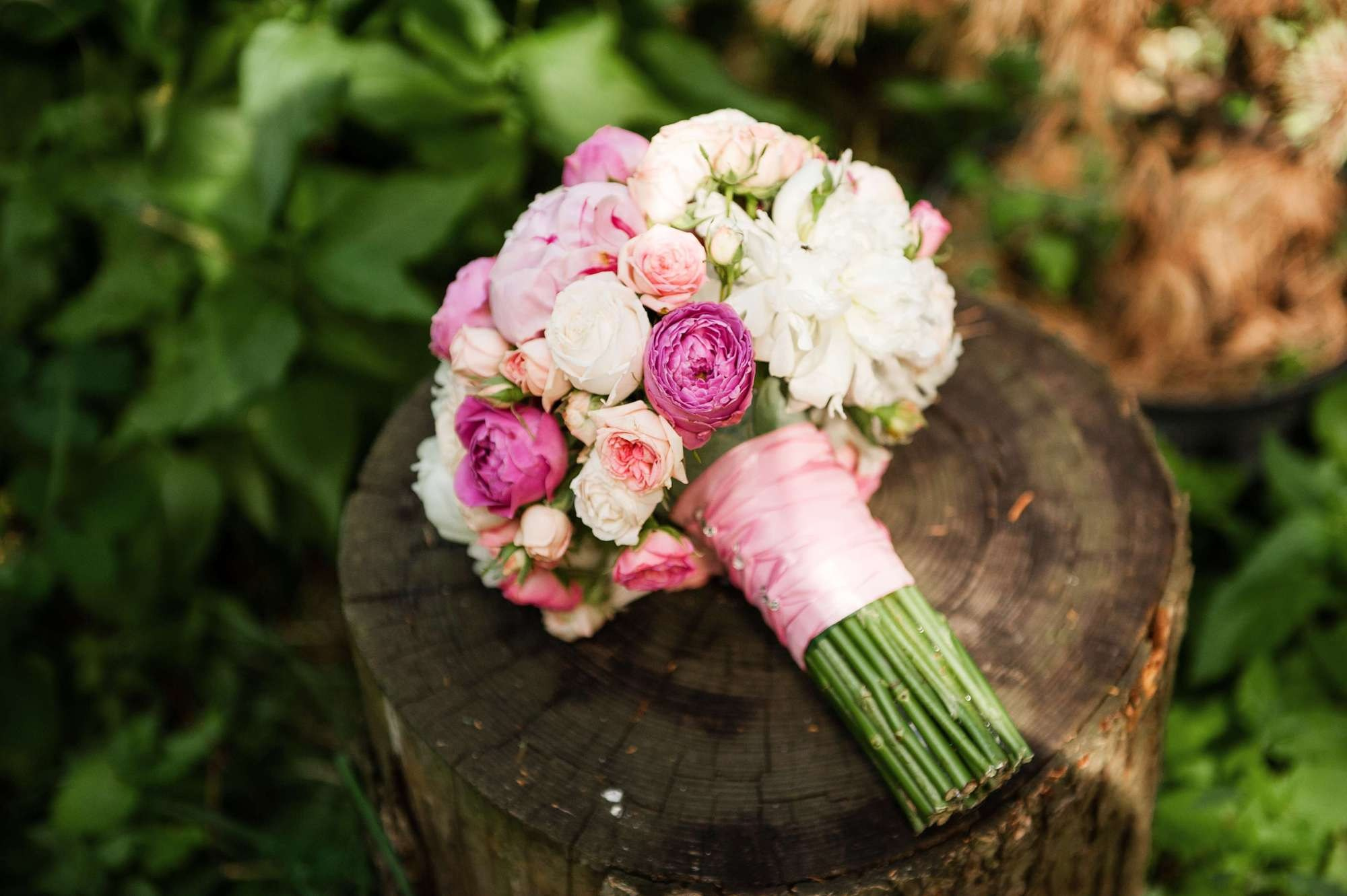 Владимир и Элина