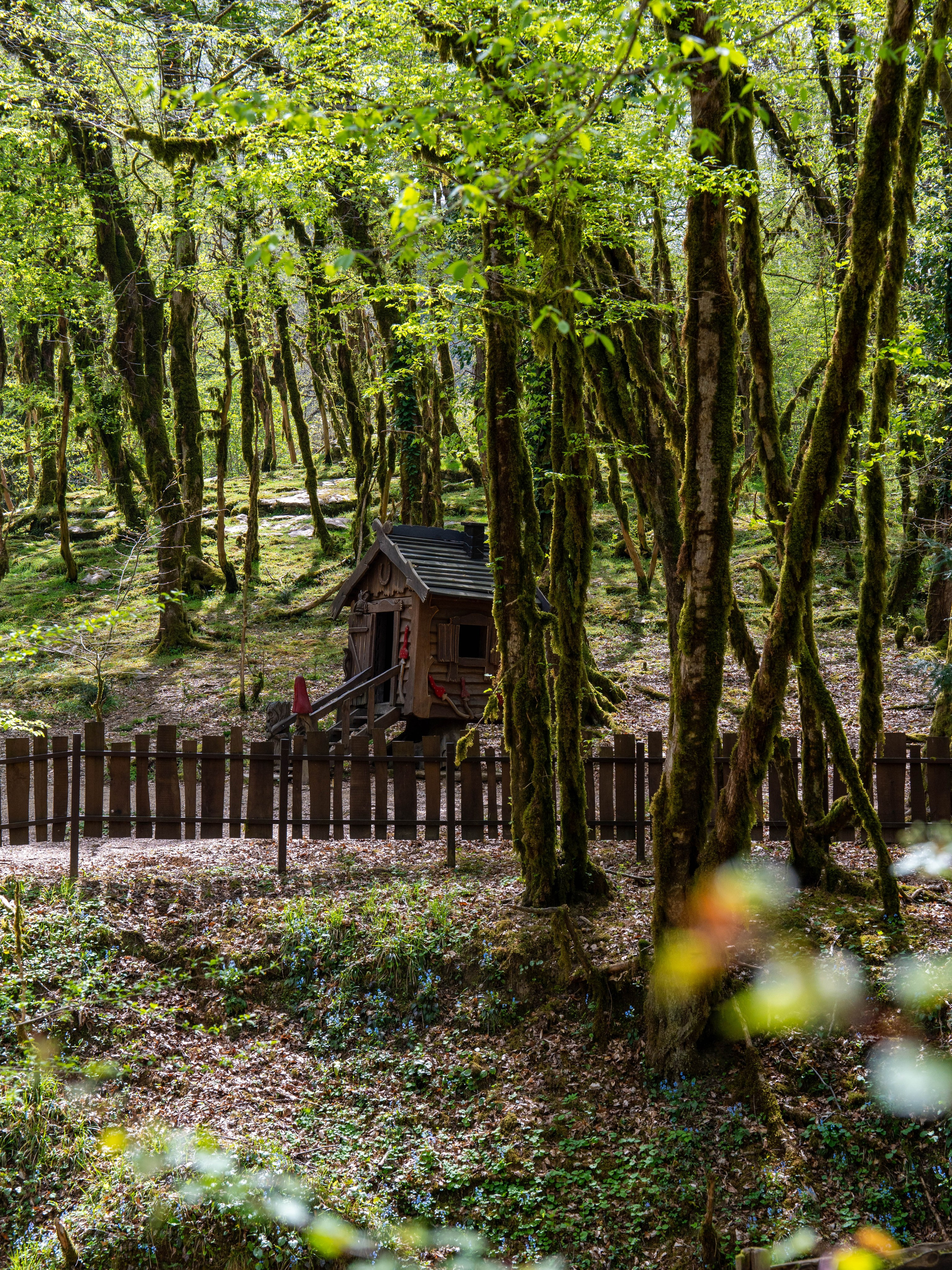 MICE мероприятие — джиппинг на каньон Псахо. Репортажный фотограф в Красной Поляне и Сочи Павлюченко Екатерина