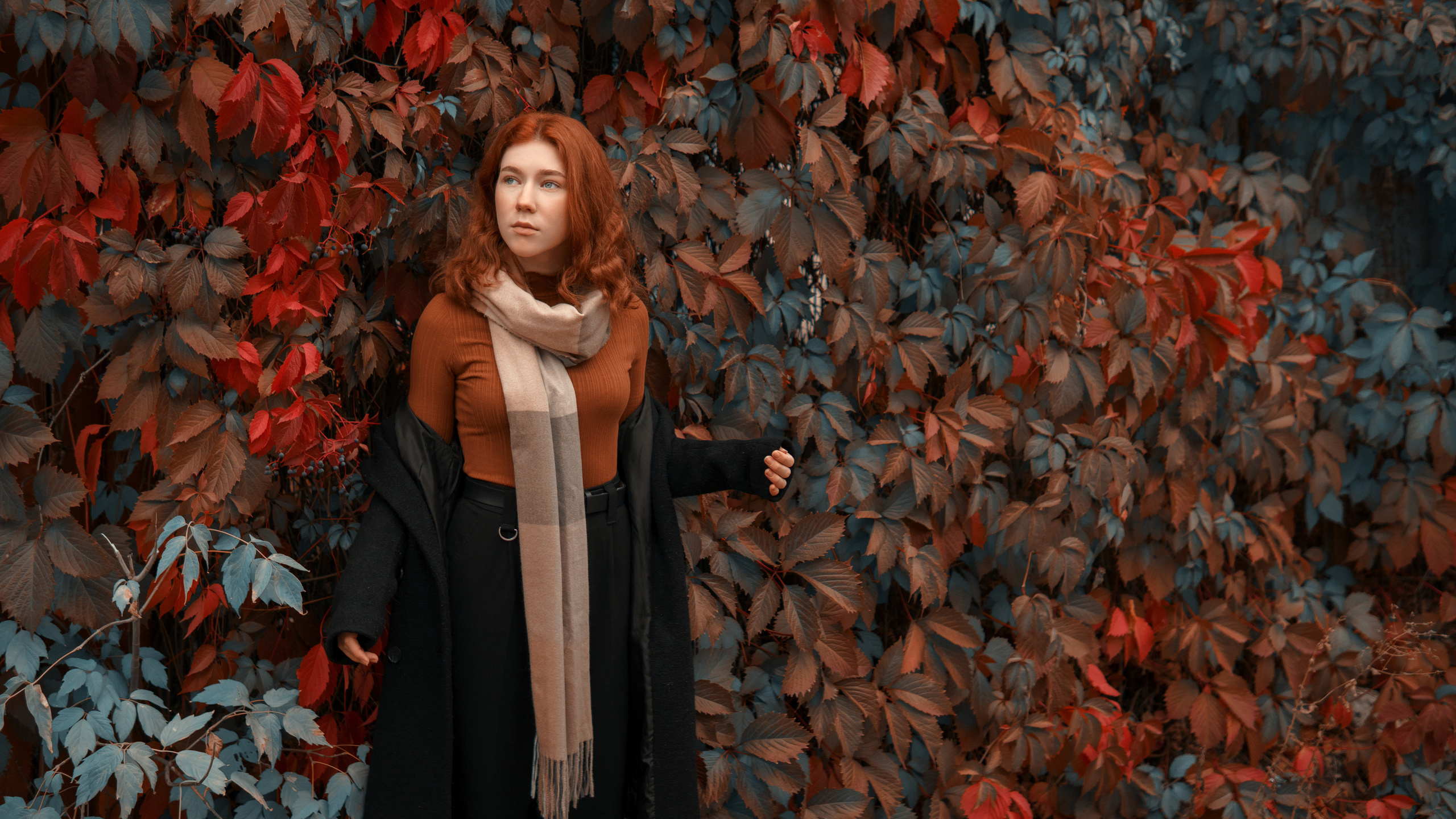 Сollab Сolor Autumn