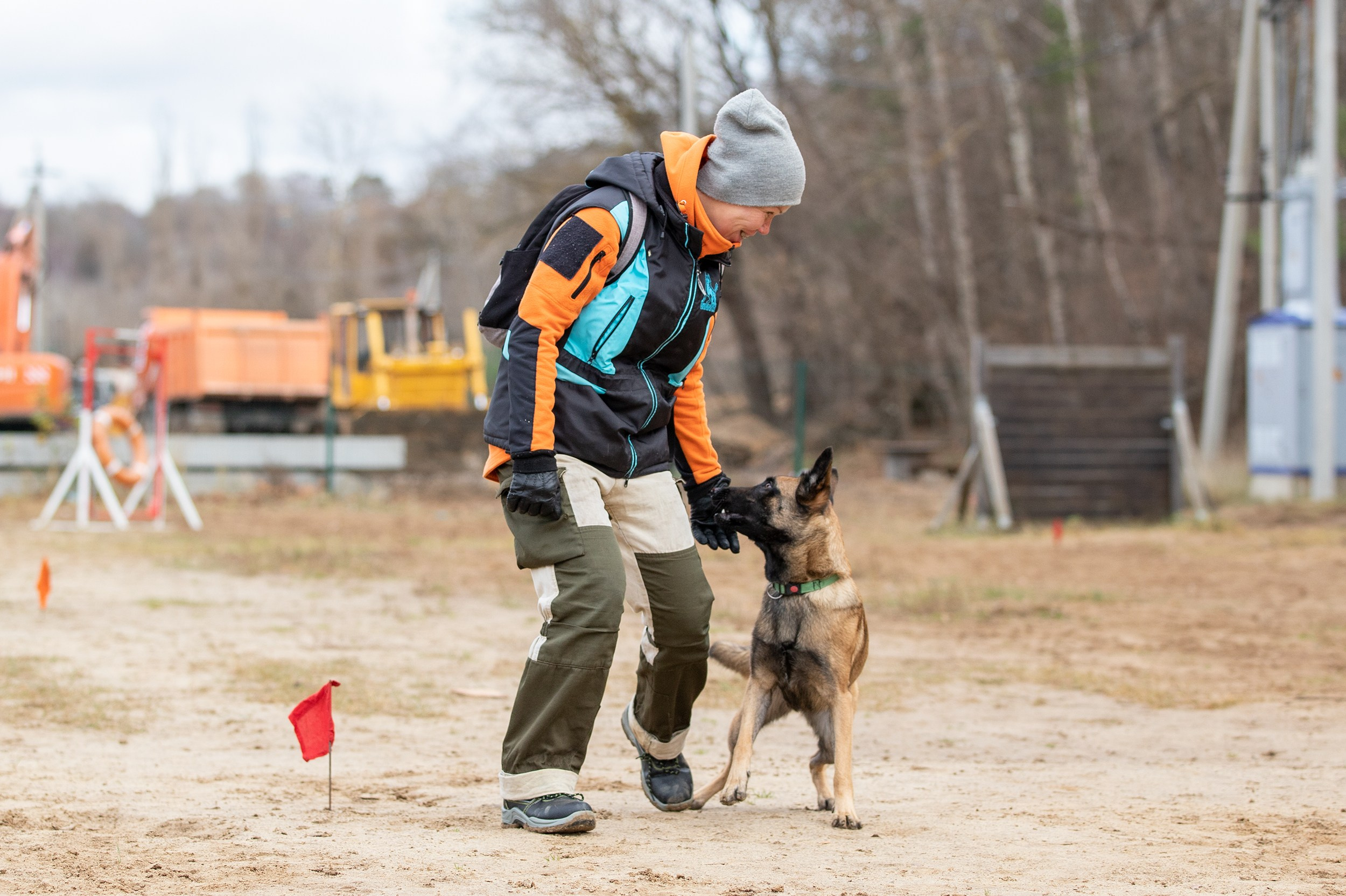 Вера и Чейз на экзамене ОКД. Фотограф-анималист в Калуге Мария Шерскова