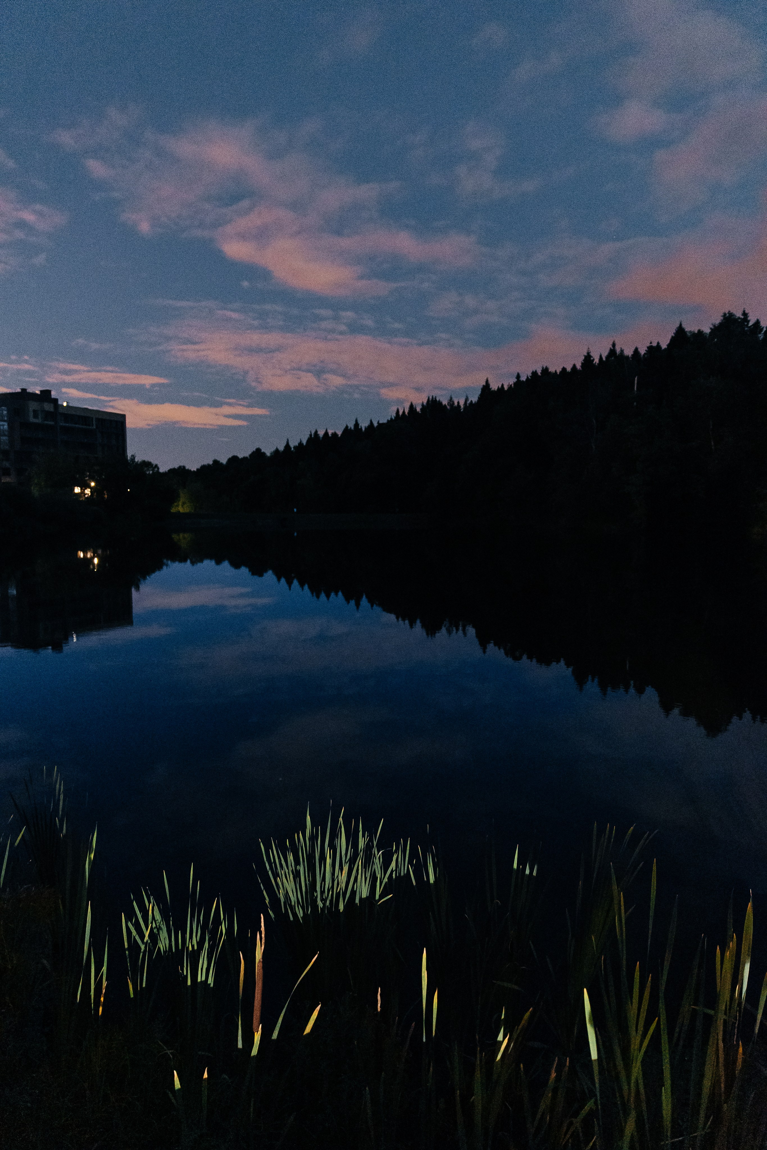 Dima & Masha. Свадебный фотограф в Москве Вика Арехова
