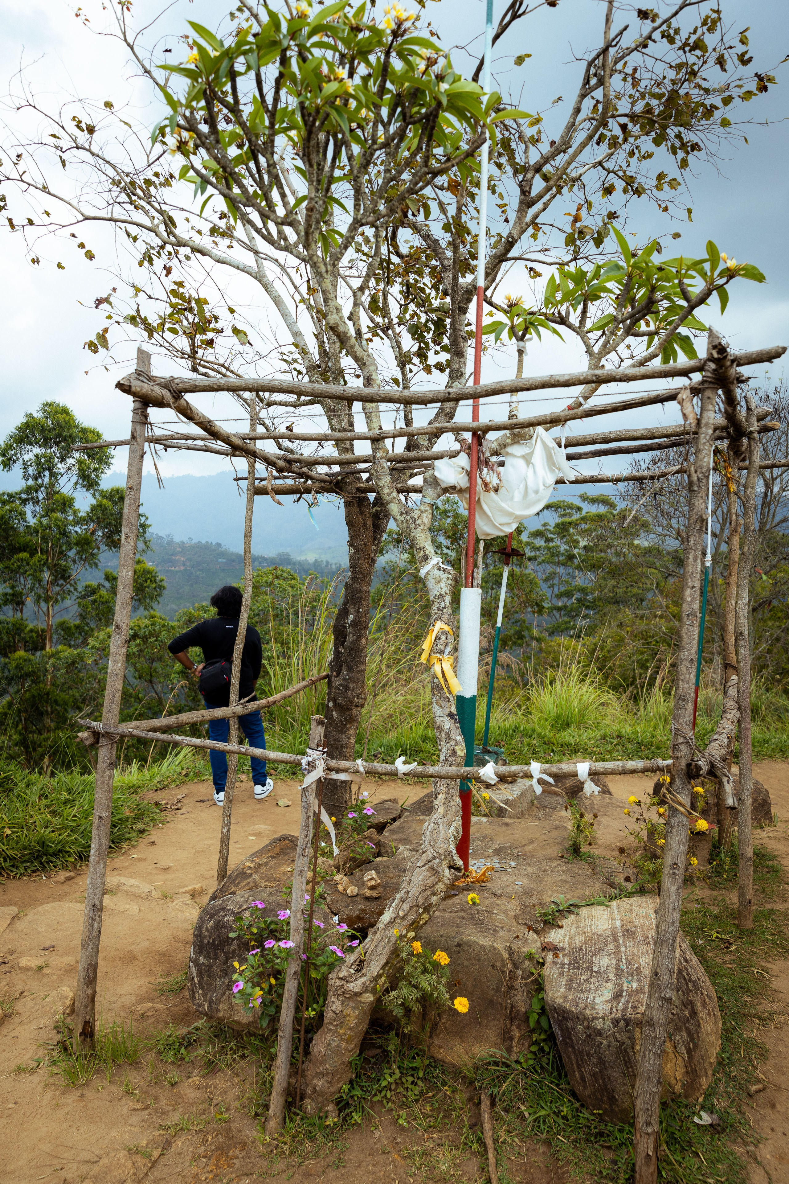 Шри-Ланка (весна 2024). Фотограф Виноградов Константин