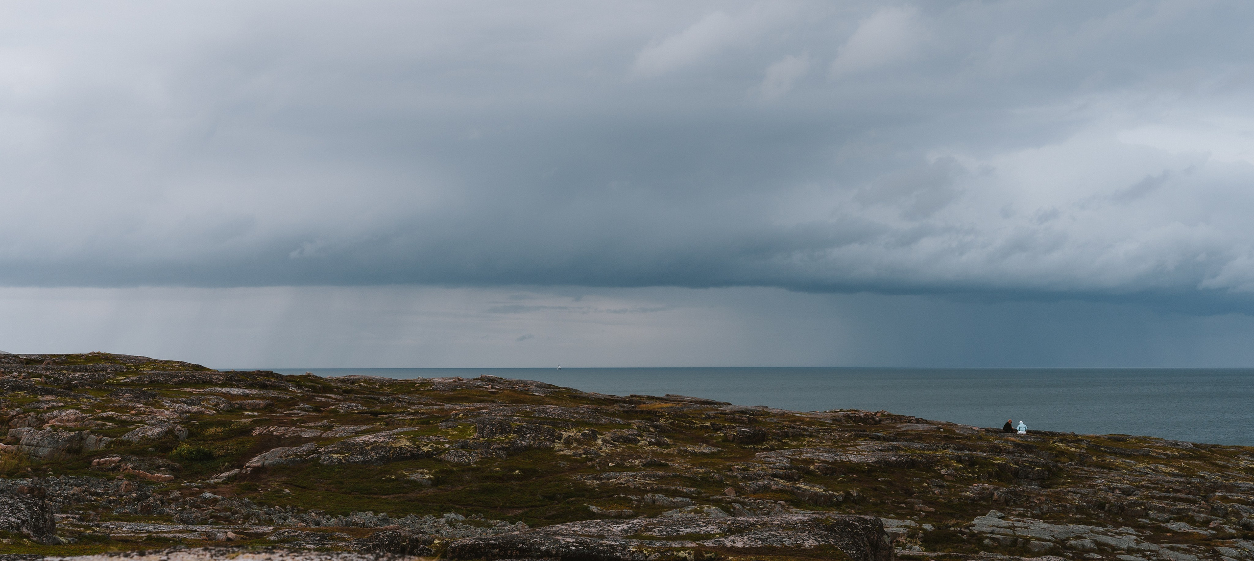 Landscape+. Arseny Sapelkin