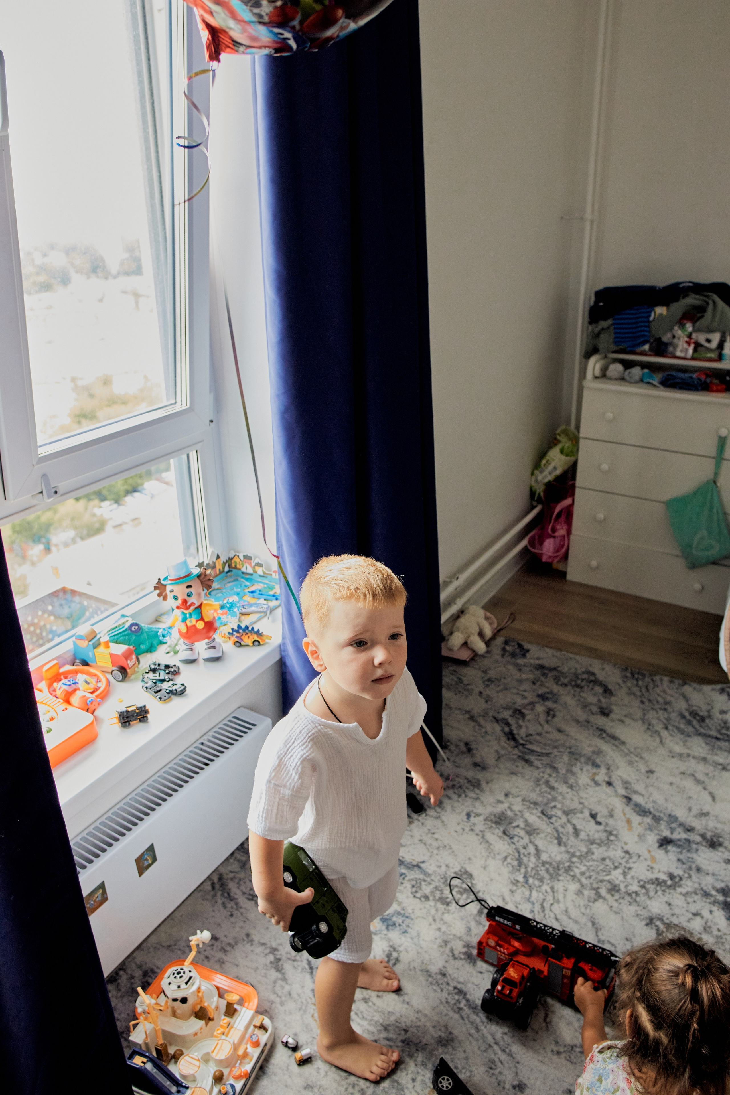 Три кота. Фотограф Москва