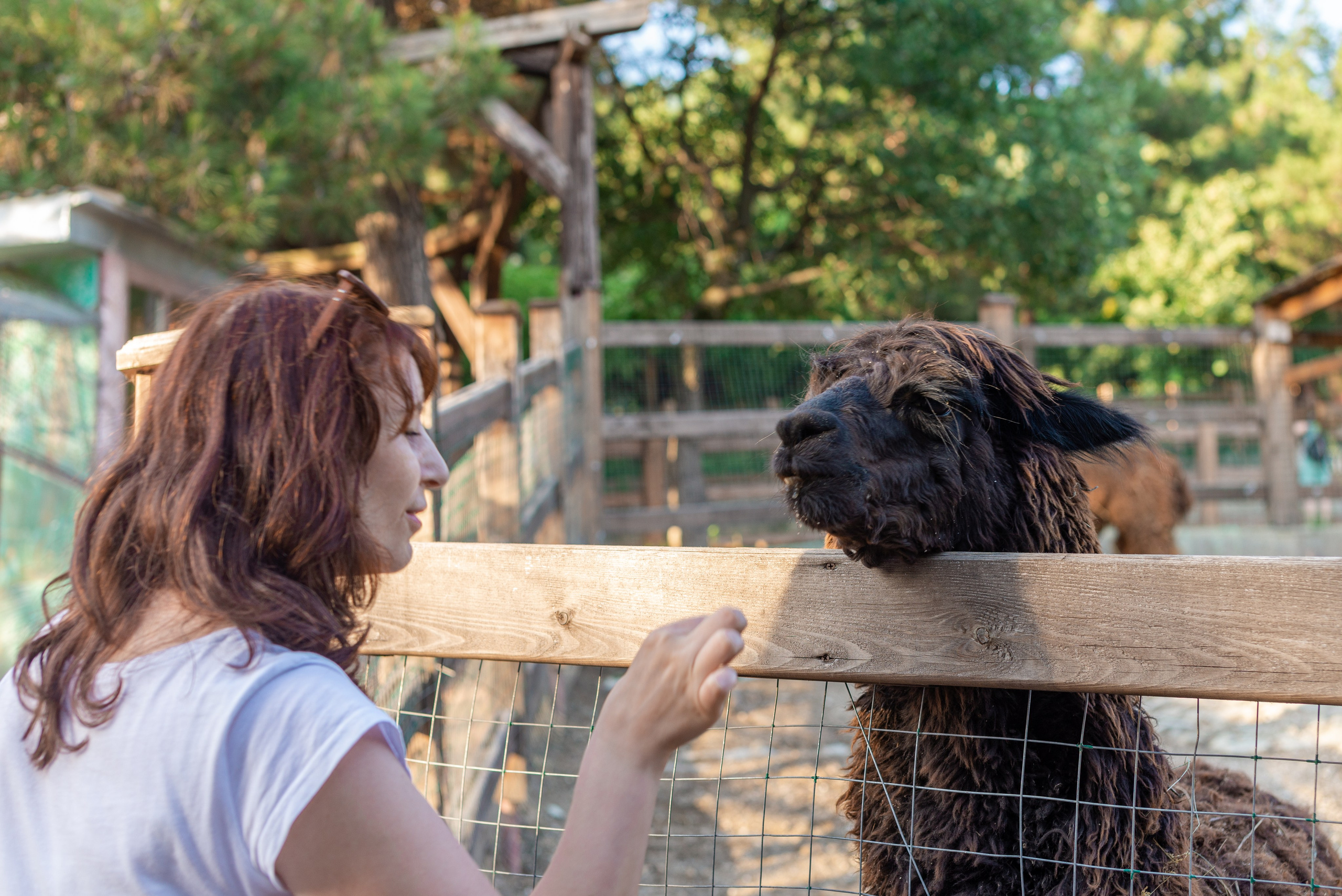 Июнь–Июль Отпуск Белореченск, Геленджик. Семейный, Свадебный фотограф СПБ Питер— Романова Екатерина