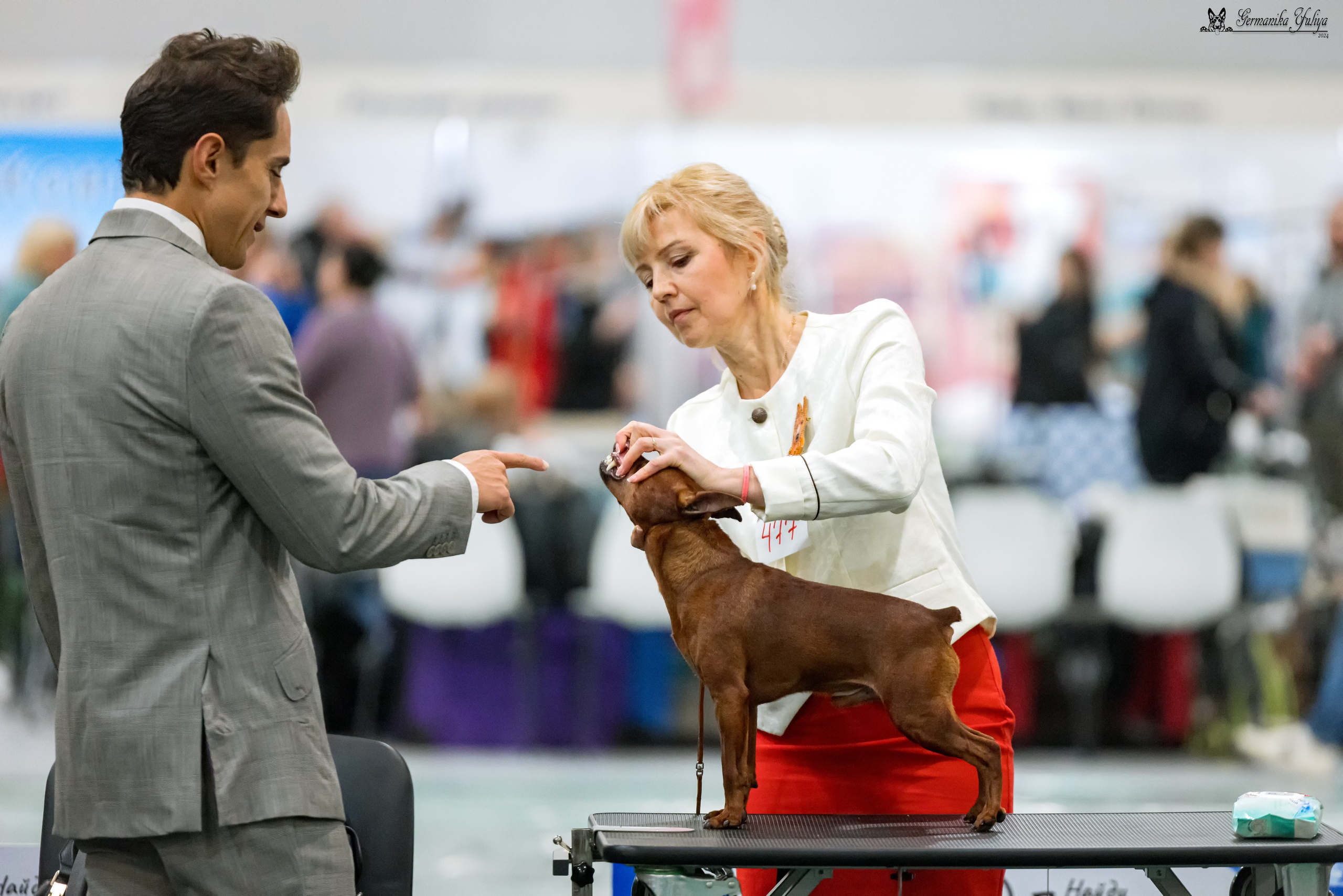 Сабанеевка 26-27.01.2024. Фотограф-анималист Юлия Германика