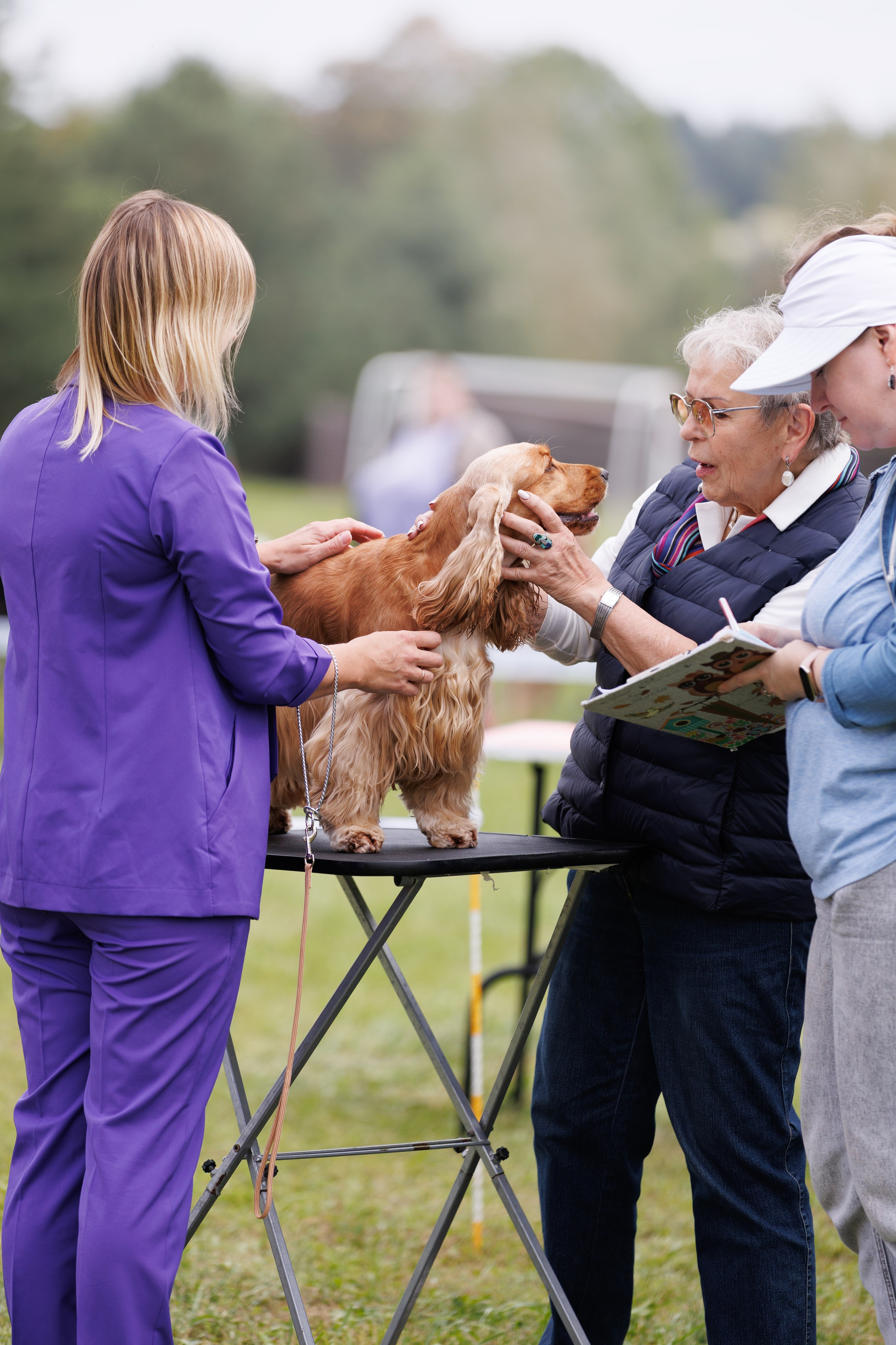 Выставки. Фотограф-анималист в Калуге Мария Шерскова