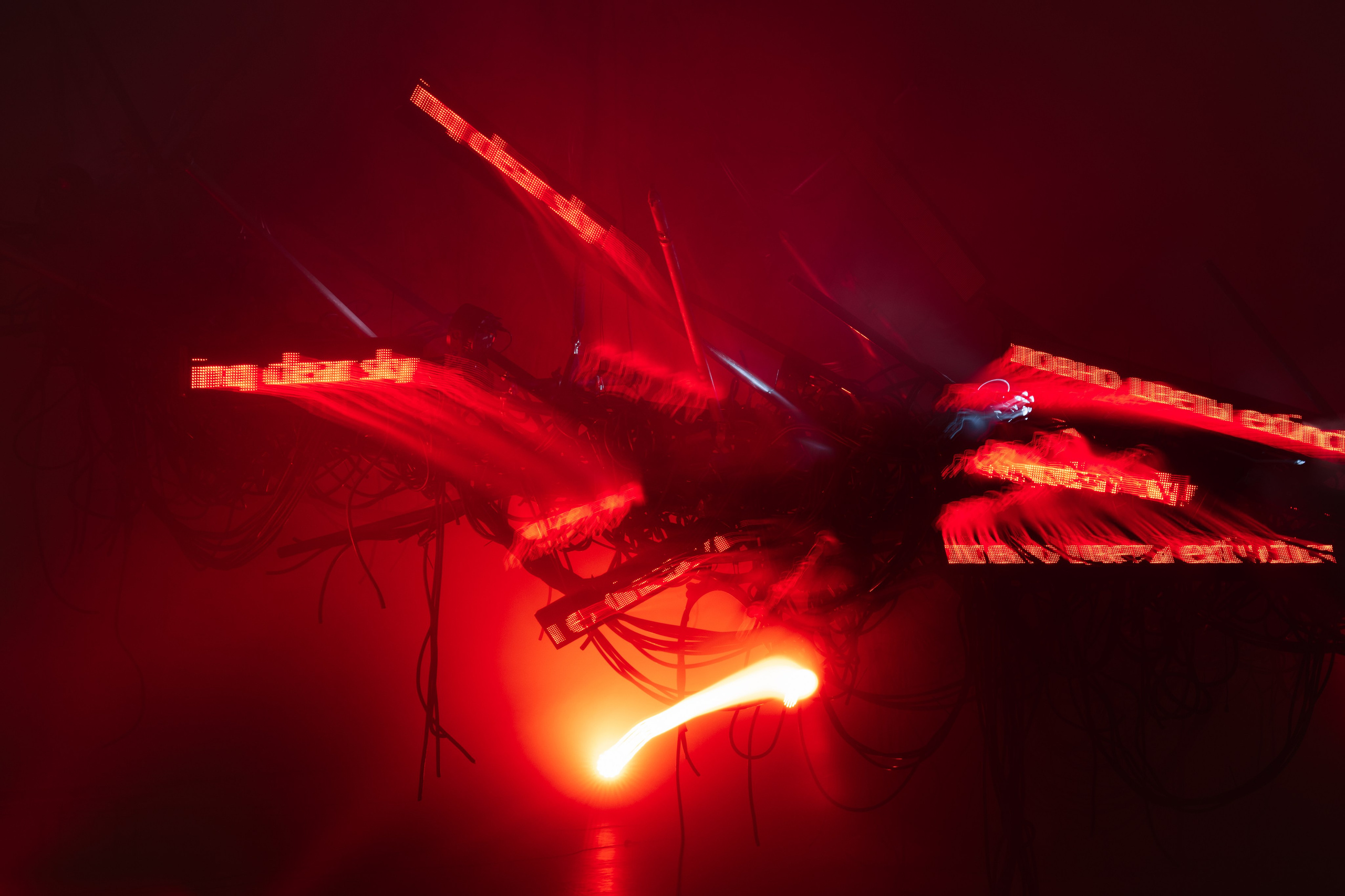 PANTERRA, CHRONOMORPH 001. @tomrus: Рустам Шагиморданов — фотограф