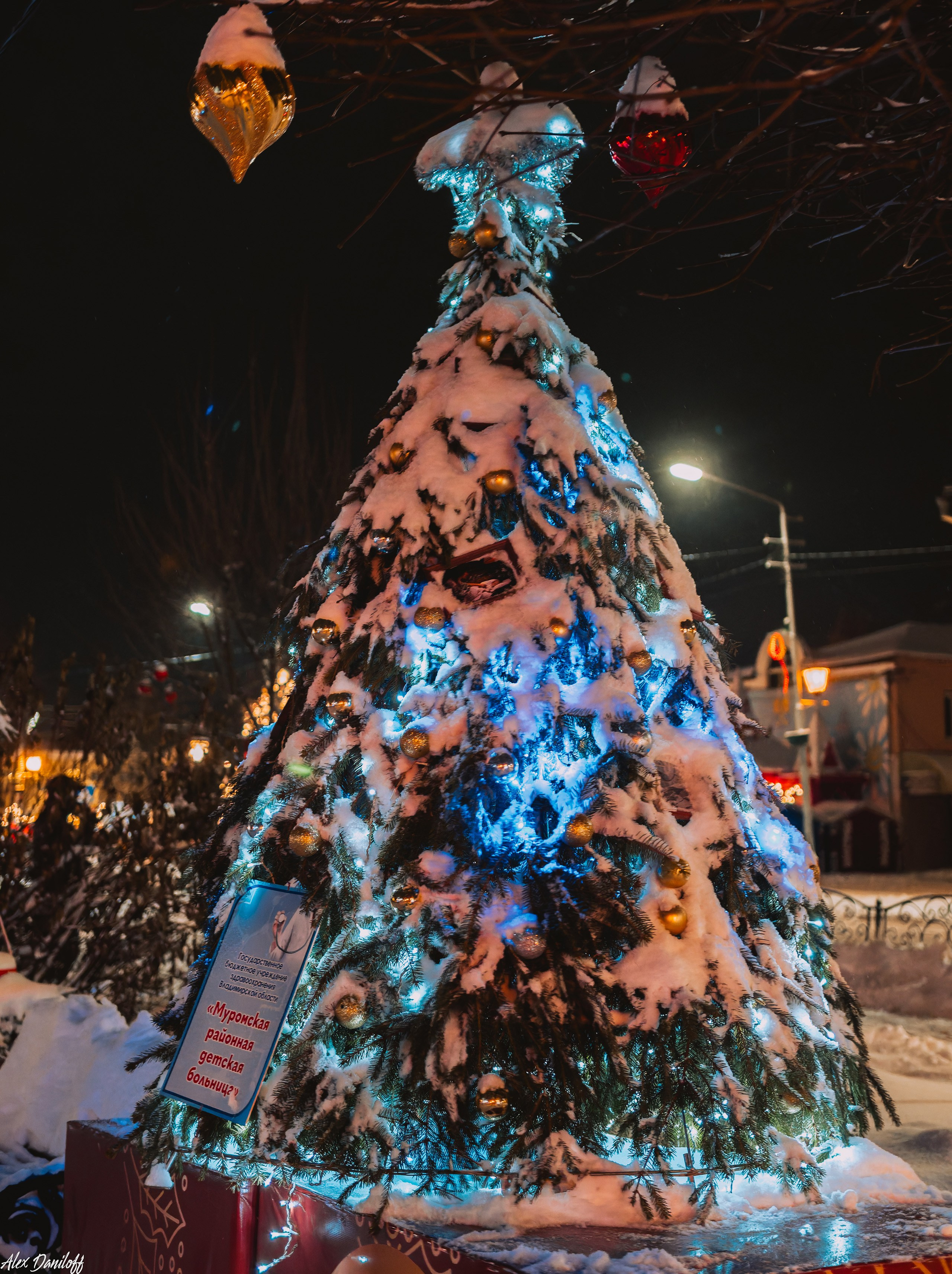 Елки 2025. Муром-Инфо. Новости культуры, образования, спорта в городе Муром