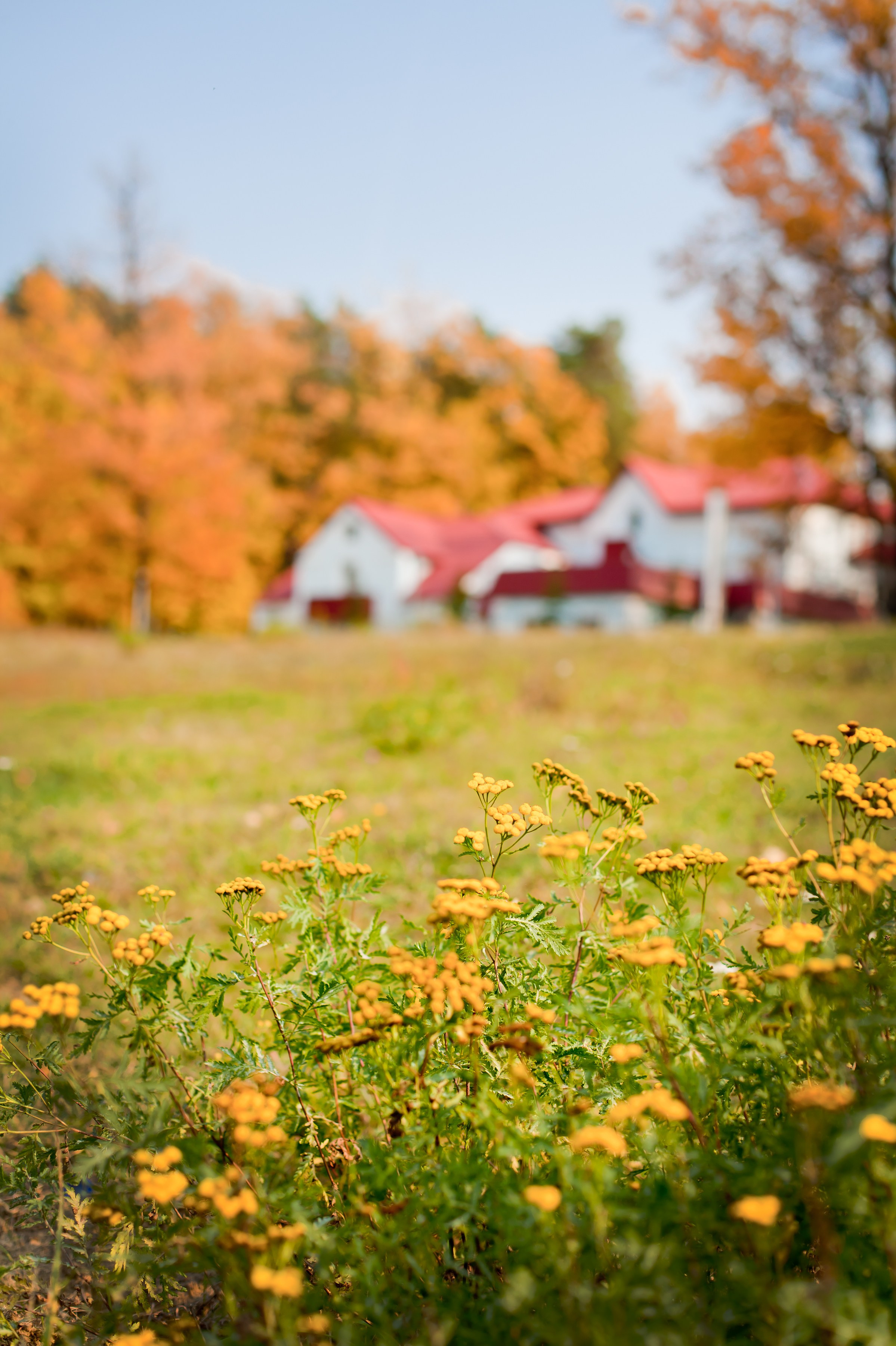 Красота Заречного. Репортажный, семейный и детский фотограф в Пензе и Заречном Арина Ермилова. Картины барельеф на заказ