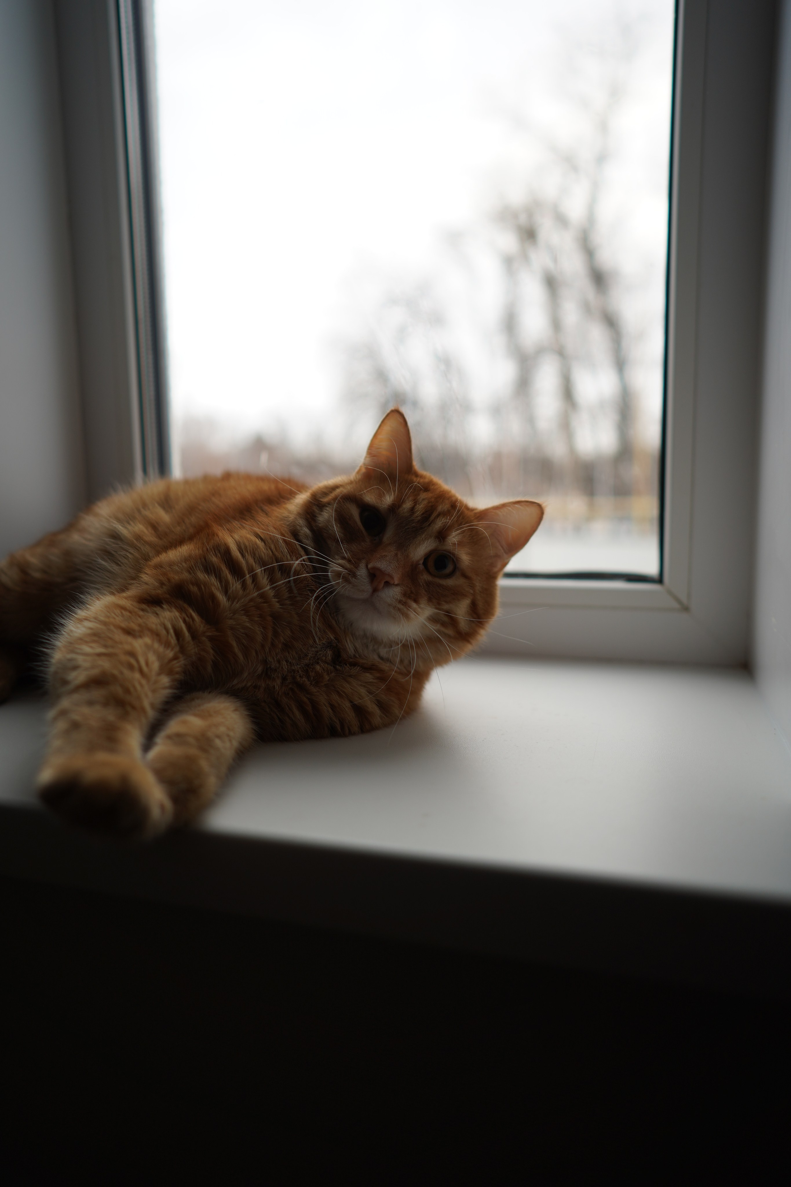 ЖК Приозерный. Das House