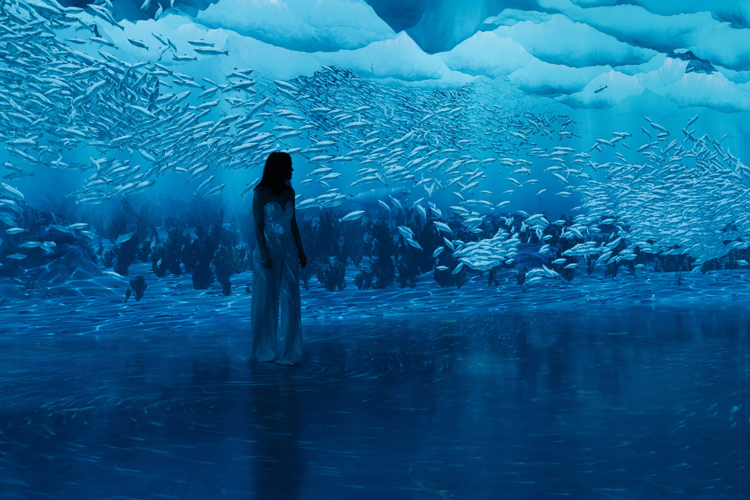 VI Ocean, Tutankhamun, SILA SVETA. @tomrus: Рустам Шагиморданов — фотограф