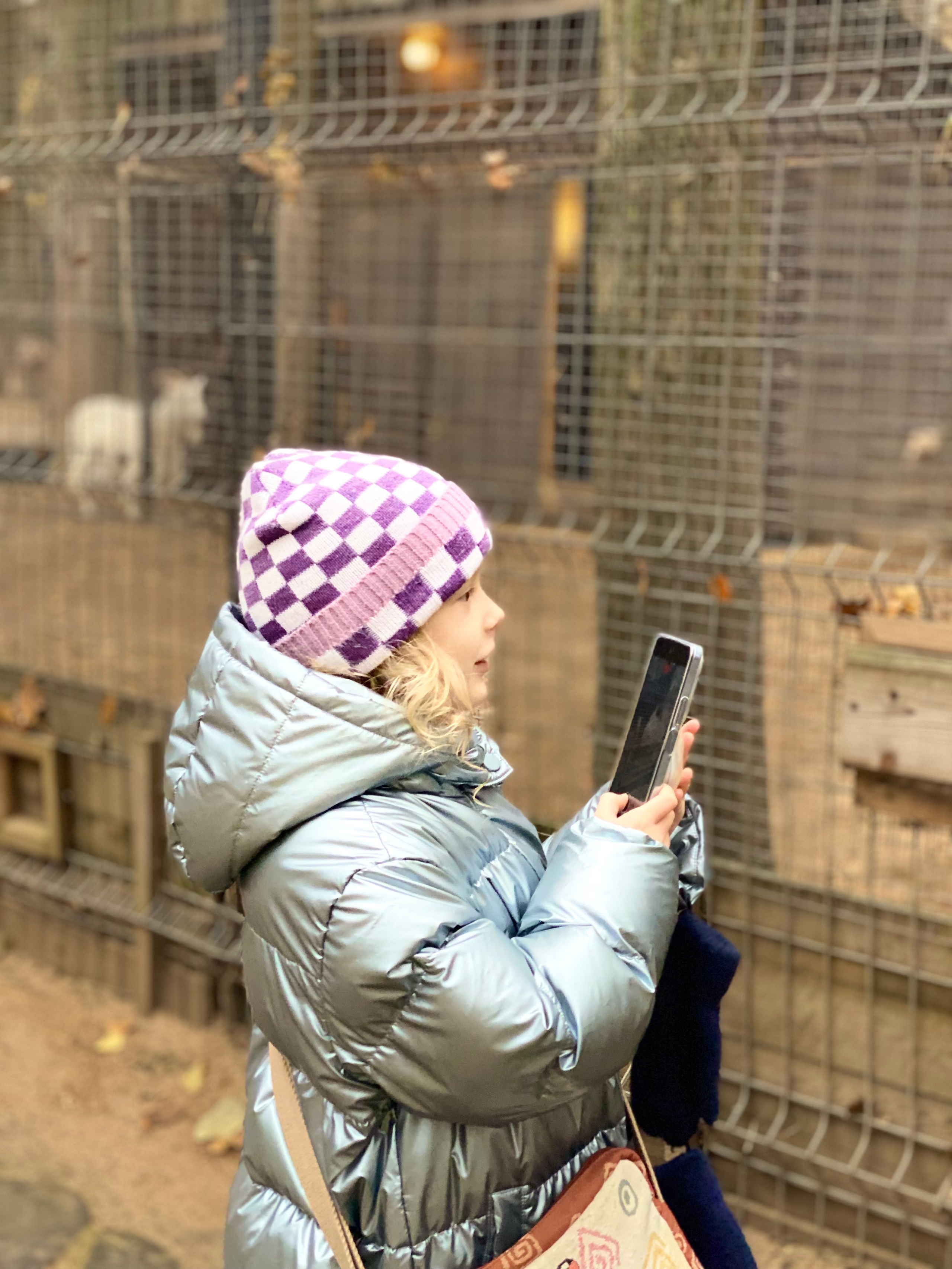 Осенние прогулки. Портфолио