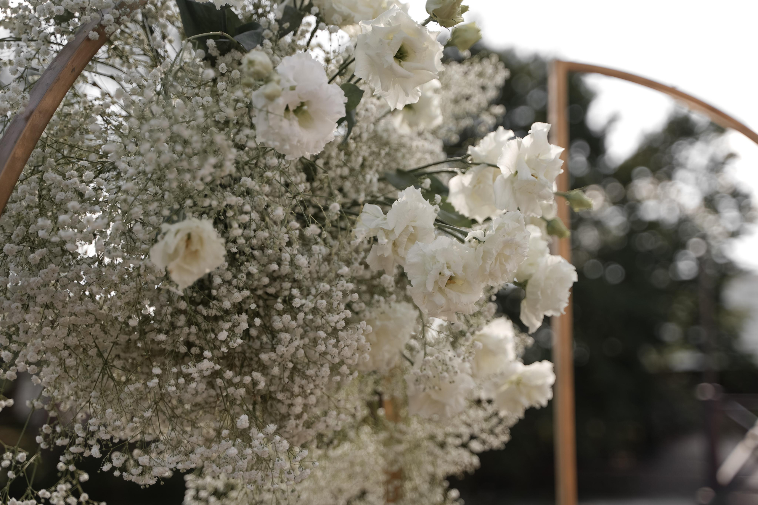 Анастасия и Дмитрий. Свадебный фотограф Марина Попова